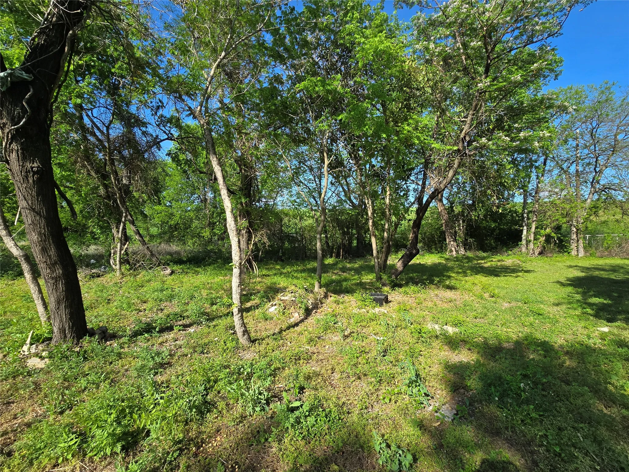 Unimproved Land For Sale in Dallas County , 823 Millard Street, Dallas, Texas 75203, 0, 0, Garage spaces, 0 Sqft, built in 0, mls#21221507, Real Estate Agent in Dallas, Homes For Sale in Dallas county, Homes For Sale in Dallas, Realtor in Dallas Texas, Real Estate Brokerage Independent Realty Texas, Luminita Cordes Realtor