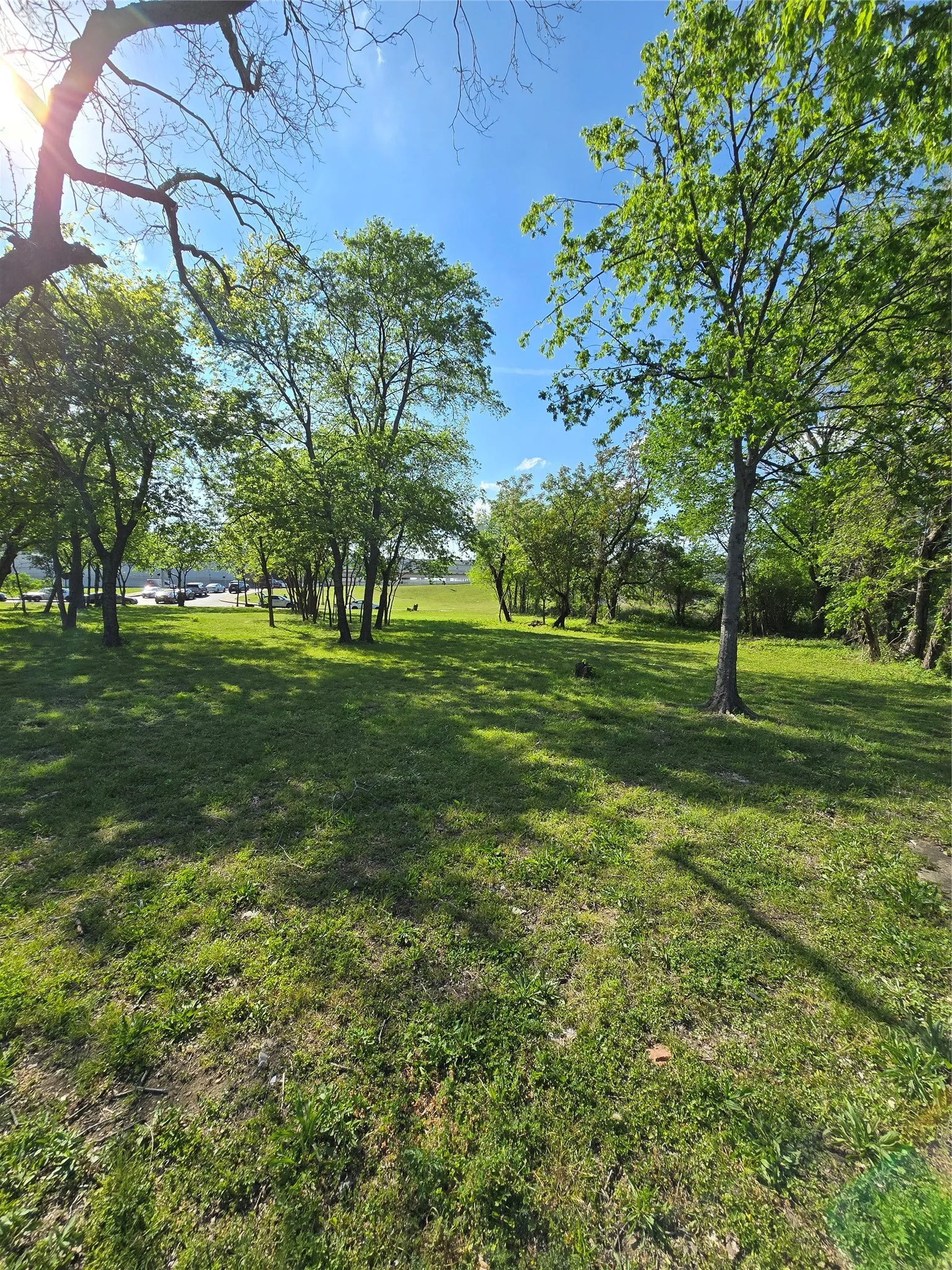 Unimproved Land For Sale in Dallas County , 823 Millard Street, Dallas, Texas 75203, 0, 0, Garage spaces, 0 Sqft, built in 0, mls#21221507, Real Estate Agent in Dallas, Homes For Sale in Dallas county, Homes For Sale in Dallas, Realtor in Dallas Texas, Real Estate Brokerage Independent Realty Texas, Luminita Cordes Realtor