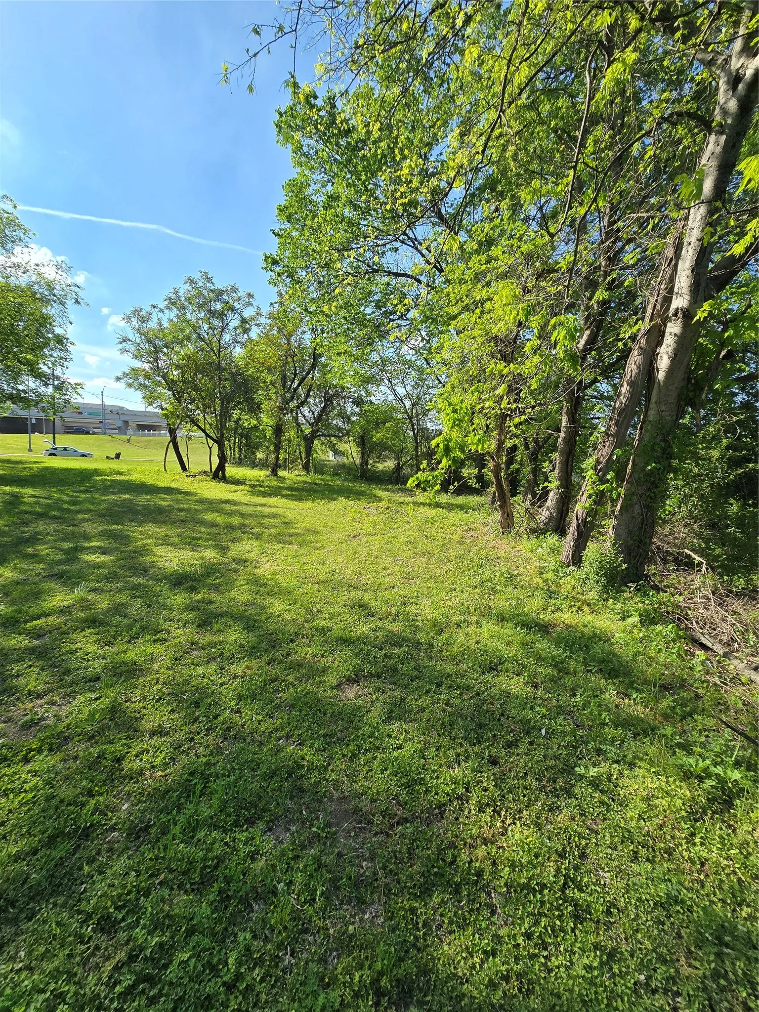 Unimproved Land For Sale in Dallas County , 823 Millard Street, Dallas, Texas 75203, 0, 0, Garage spaces, 0 Sqft, built in 0, mls#21221507, Real Estate Agent in Dallas, Homes For Sale in Dallas county, Homes For Sale in Dallas, Realtor in Dallas Texas, Real Estate Brokerage Independent Realty Texas, Luminita Cordes Realtor