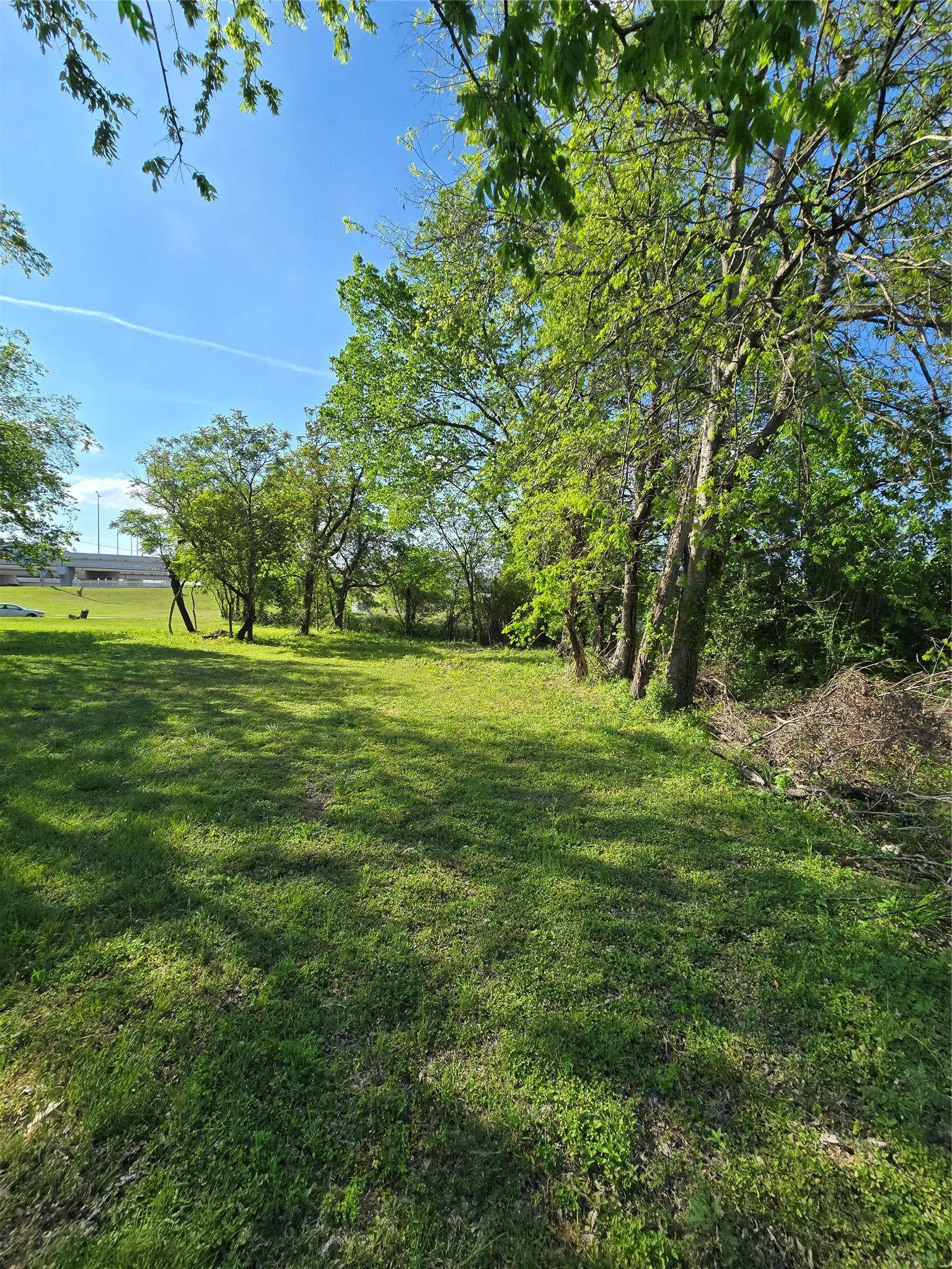 Unimproved Land For Sale in Dallas County , 823 Millard Street, Dallas, Texas 75203, 0, 0, Garage spaces, 0 Sqft, built in 0, mls#21221507, Real Estate Agent in Dallas, Homes For Sale in Dallas county, Homes For Sale in Dallas, Realtor in Dallas Texas, Real Estate Brokerage Independent Realty Texas, Luminita Cordes Realtor