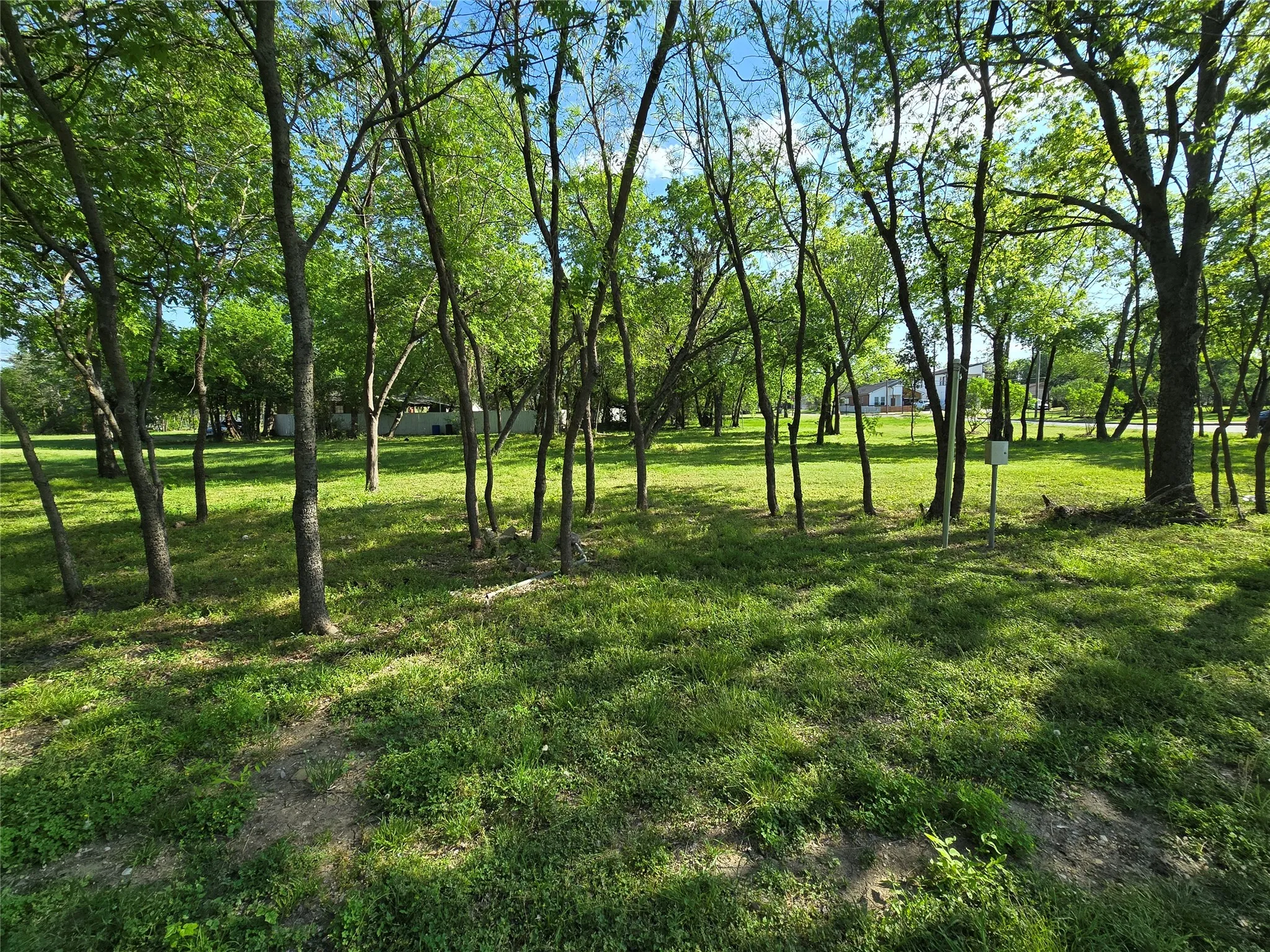 Unimproved Land For Sale in Dallas County , 823 Millard Street, Dallas, Texas 75203, 0, 0, Garage spaces, 0 Sqft, built in 0, mls#21221507, Real Estate Agent in Dallas, Homes For Sale in Dallas county, Homes For Sale in Dallas, Realtor in Dallas Texas, Real Estate Brokerage Independent Realty Texas, Luminita Cordes Realtor