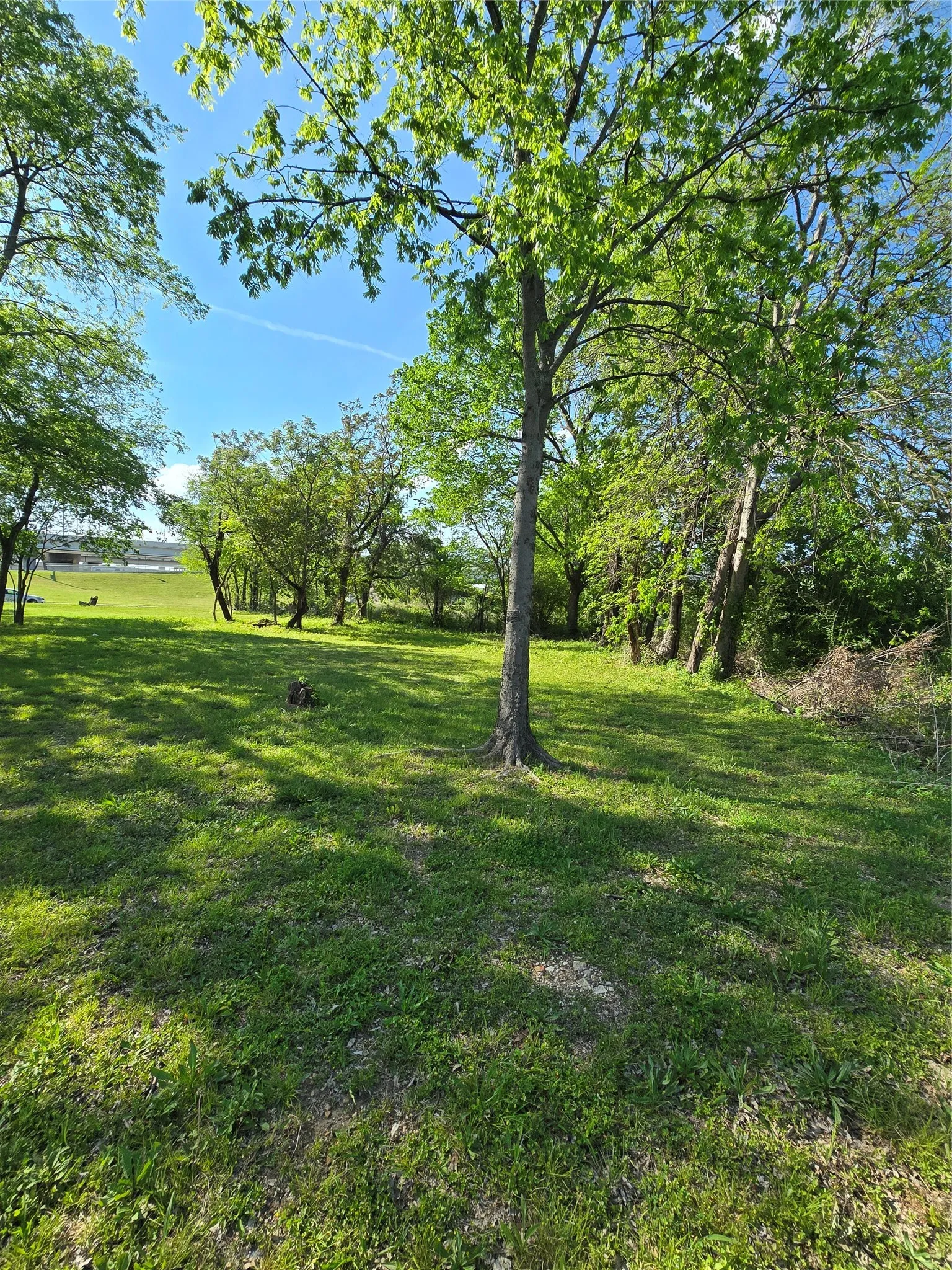 Unimproved Land For Sale in Dallas County , 823 Millard Street, Dallas, Texas 75203, 0, 0, Garage spaces, 0 Sqft, built in 0, mls#21221507, Real Estate Agent in Dallas, Homes For Sale in Dallas county, Homes For Sale in Dallas, Realtor in Dallas Texas, Real Estate Brokerage Independent Realty Texas, Luminita Cordes Realtor
