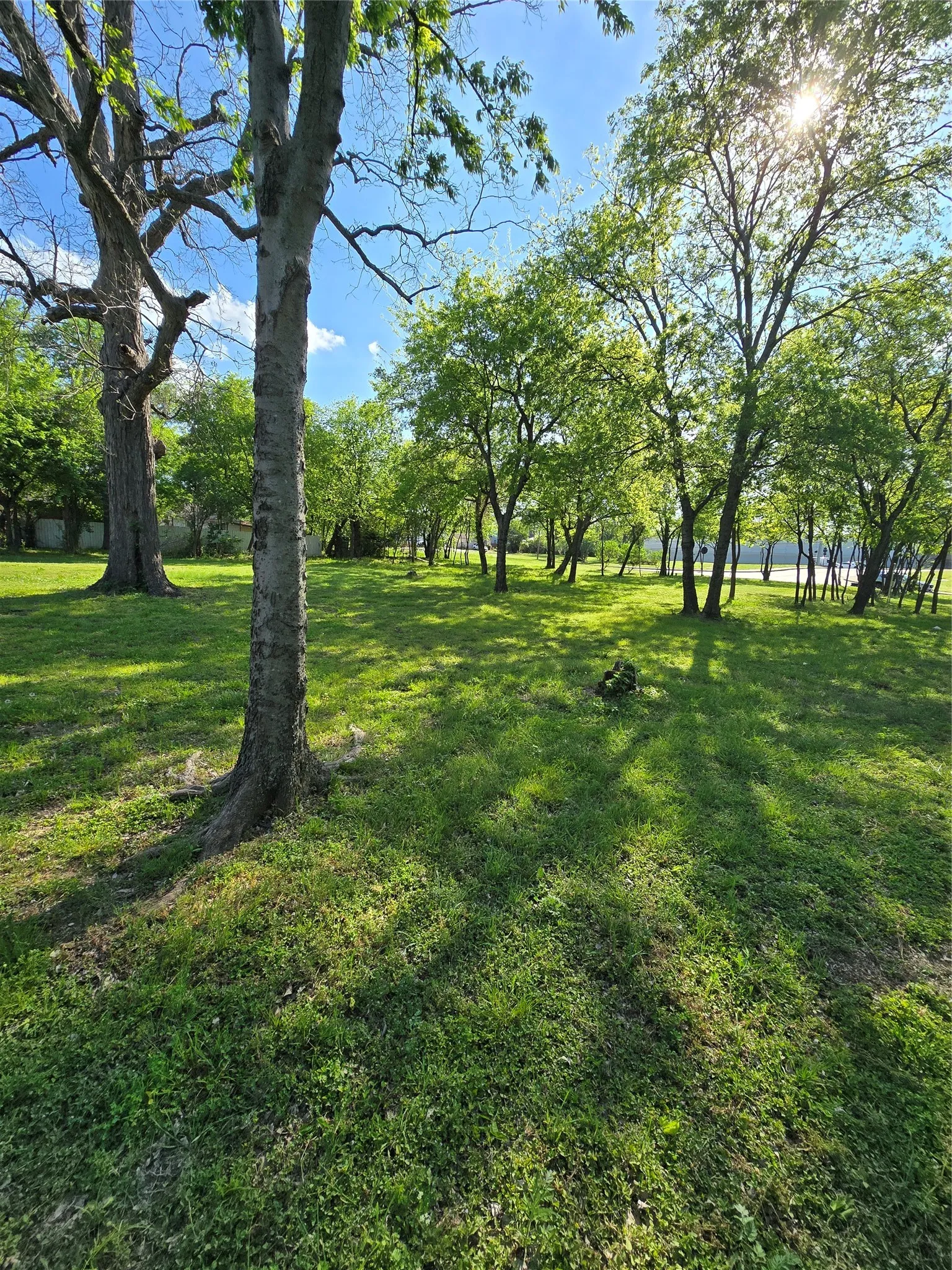 Unimproved Land For Sale in Dallas County , 823 Millard Street, Dallas, Texas 75203, 0, 0, Garage spaces, 0 Sqft, built in 0, mls#21221507, Real Estate Agent in Dallas, Homes For Sale in Dallas county, Homes For Sale in Dallas, Realtor in Dallas Texas, Real Estate Brokerage Independent Realty Texas, Luminita Cordes Realtor