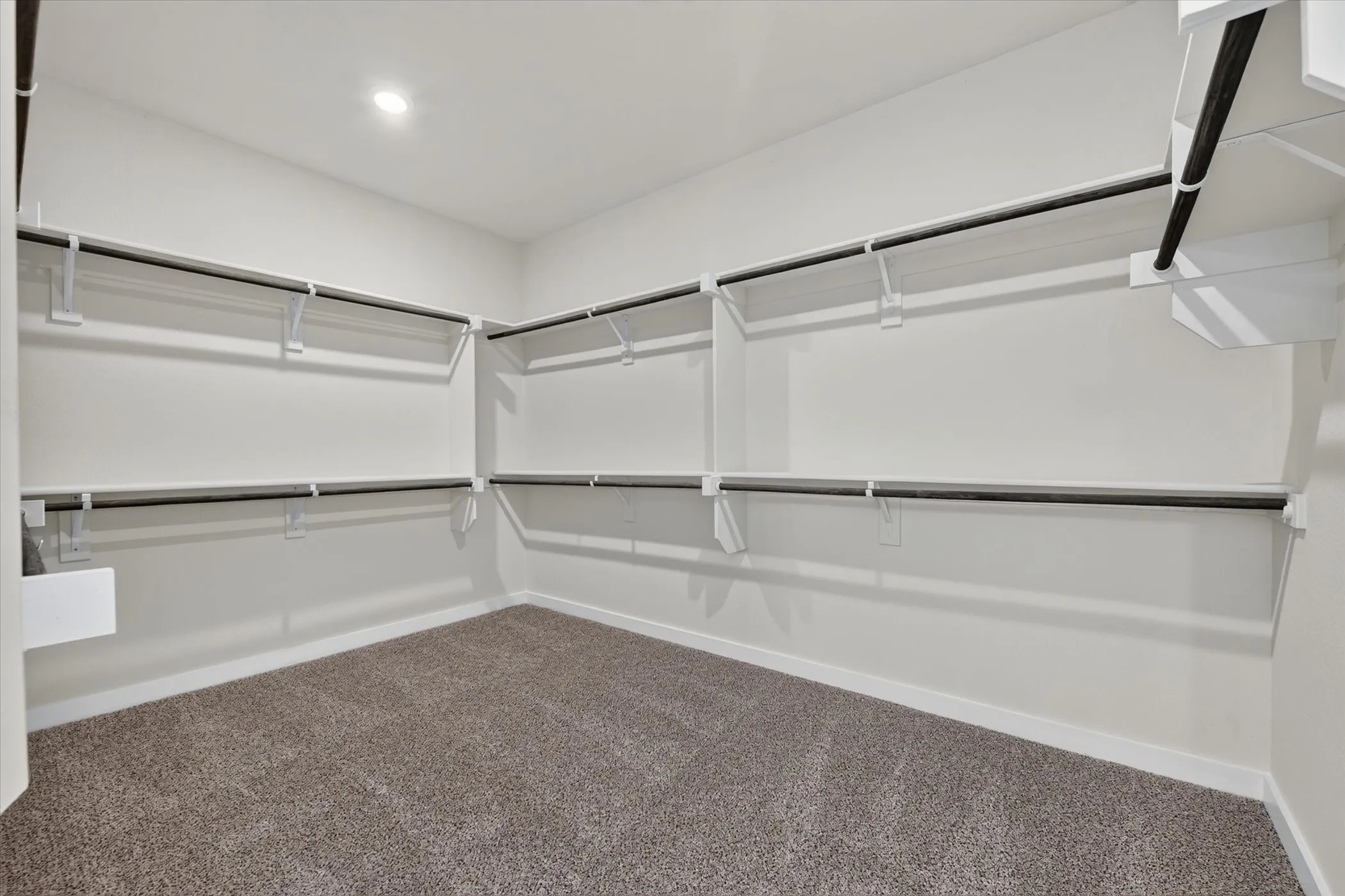 Walk-in closet featuring light gray carpet flooring, white walls, built-in shelving, and multiple clothing rods