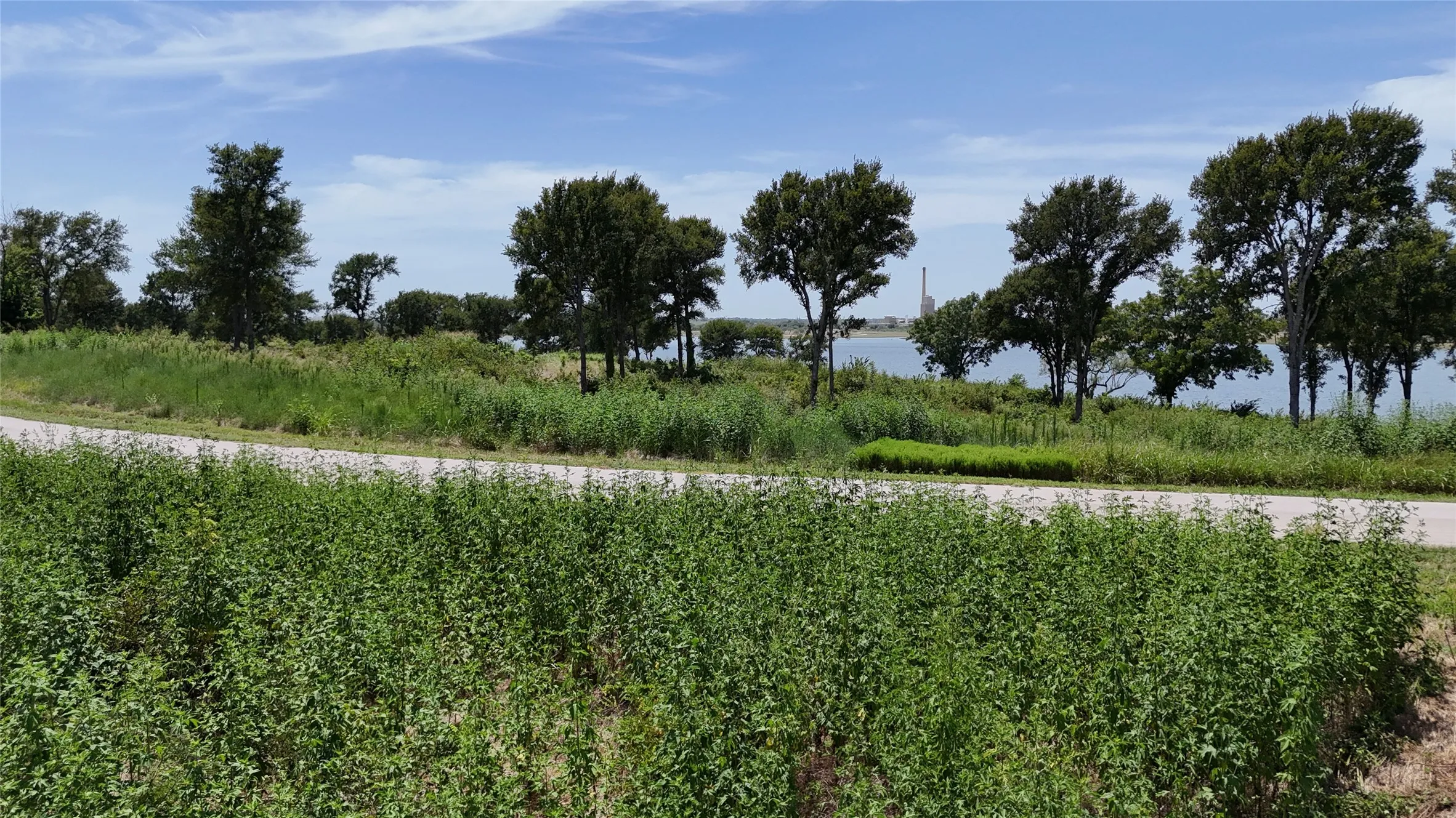 Unimproved Land For Sale in Navarro County , Lot 80 & BL # 16 Shore Side Drive, Corsicana, Texas 75109, 0, 0, Garage spaces, 0 Sqft, built in 0, Price $139,000, mls#21223283, Real Estate Agent in Corsicana, Homes For Sale in Navarro county, Homes For Sale in Corsicana, Realtor in Corsicana Texas, Real Estate Brokerage Independent Realty Texas, Luminita Cordes Realtor