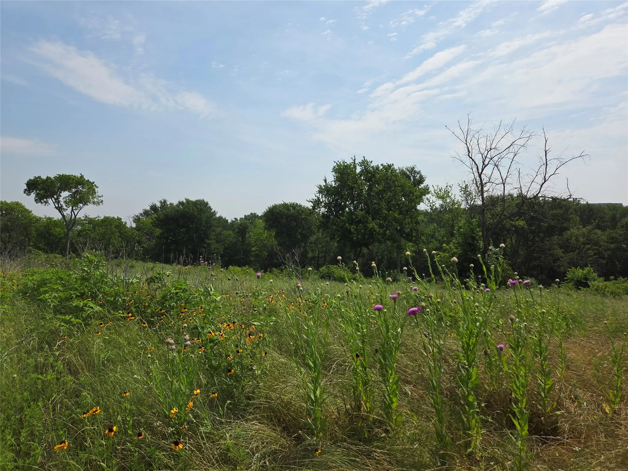 Unimproved Land For Sale in Navarro County , Lot 80 & BL # 16 Shore Side Drive, Corsicana, Texas 75109, 0, 0, Garage spaces, 0 Sqft, built in 0, Price $139,000, mls#21223283, Real Estate Agent in Corsicana, Homes For Sale in Navarro county, Homes For Sale in Corsicana, Realtor in Corsicana Texas, Real Estate Brokerage Independent Realty Texas, Luminita Cordes Realtor