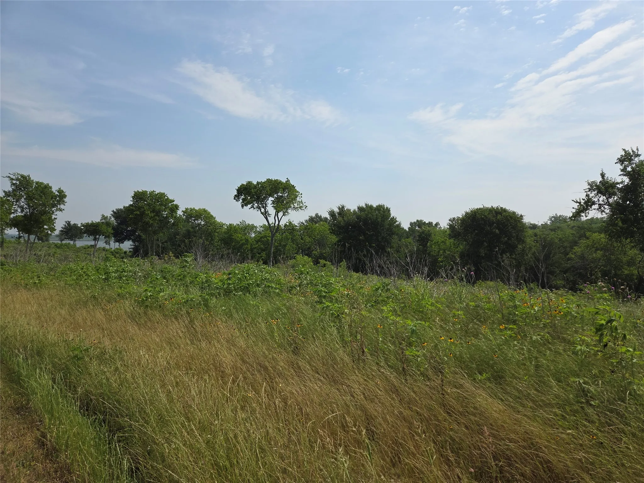 Unimproved Land For Sale in Navarro County , Lot 80 & BL # 16 Shore Side Drive, Corsicana, Texas 75109, 0, 0, Garage spaces, 0 Sqft, built in 0, Price $139,000, mls#21223283, Real Estate Agent in Corsicana, Homes For Sale in Navarro county, Homes For Sale in Corsicana, Realtor in Corsicana Texas, Real Estate Brokerage Independent Realty Texas, Luminita Cordes Realtor