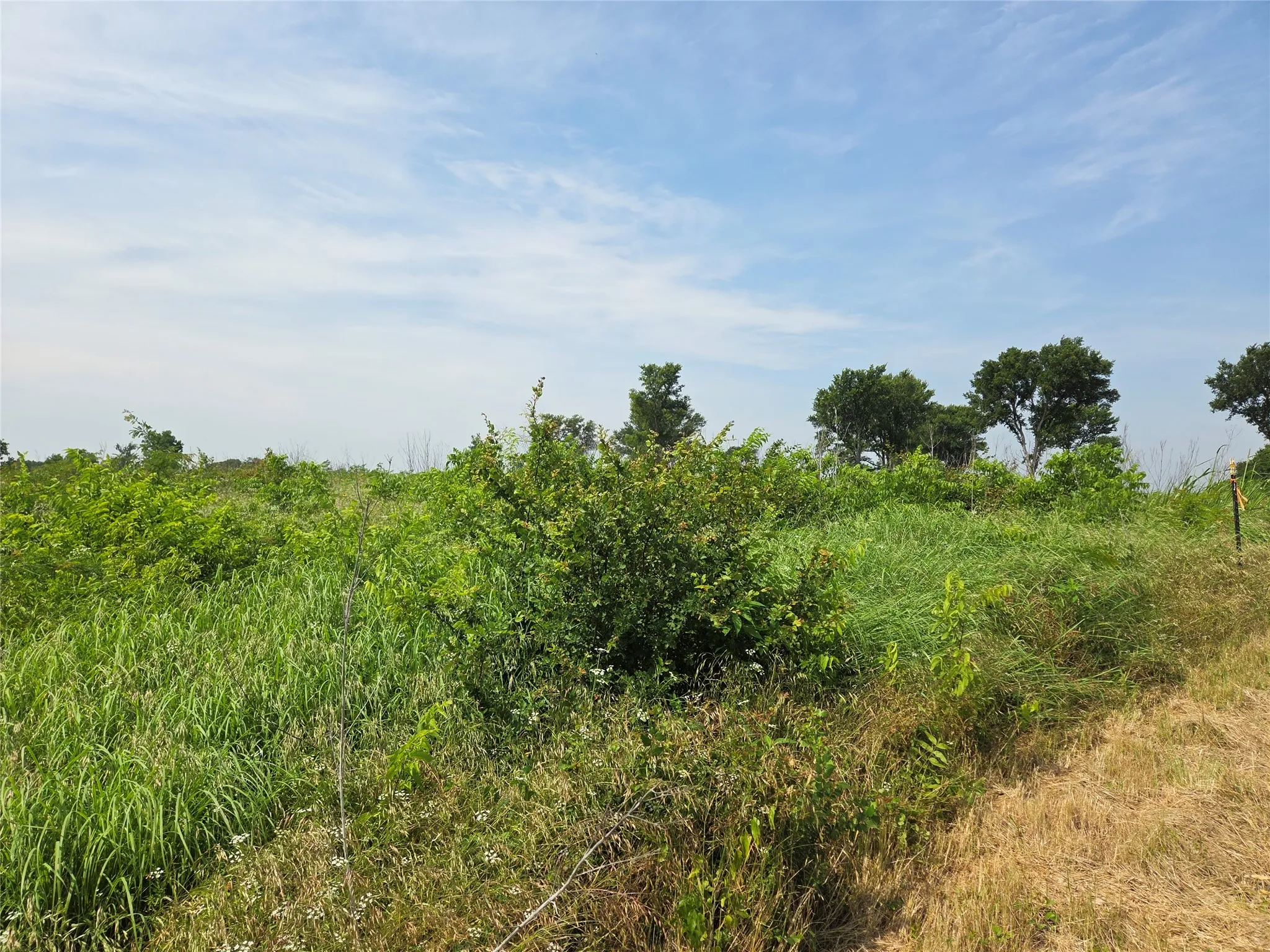 Unimproved Land For Sale in Navarro County , Lot 80 & BL # 16 Shore Side Drive, Corsicana, Texas 75109, 0, 0, Garage spaces, 0 Sqft, built in 0, Price $139,000, mls#21223283, Real Estate Agent in Corsicana, Homes For Sale in Navarro county, Homes For Sale in Corsicana, Realtor in Corsicana Texas, Real Estate Brokerage Independent Realty Texas, Luminita Cordes Realtor