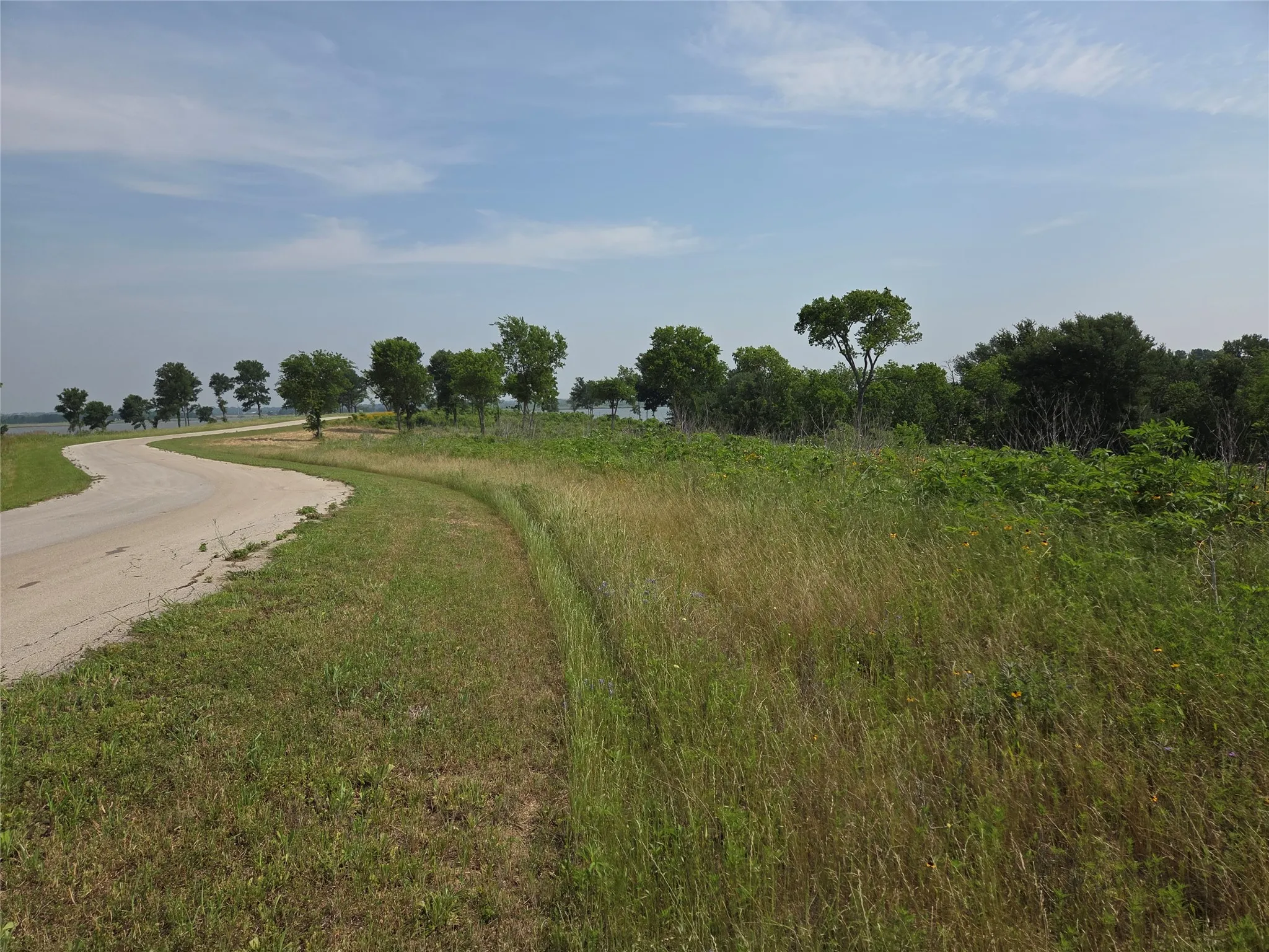 Unimproved Land For Sale in Navarro County , Lot 80 & BL # 16 Shore Side Drive, Corsicana, Texas 75109, 0, 0, Garage spaces, 0 Sqft, built in 0, Price $139,000, mls#21223283, Real Estate Agent in Corsicana, Homes For Sale in Navarro county, Homes For Sale in Corsicana, Realtor in Corsicana Texas, Real Estate Brokerage Independent Realty Texas, Luminita Cordes Realtor