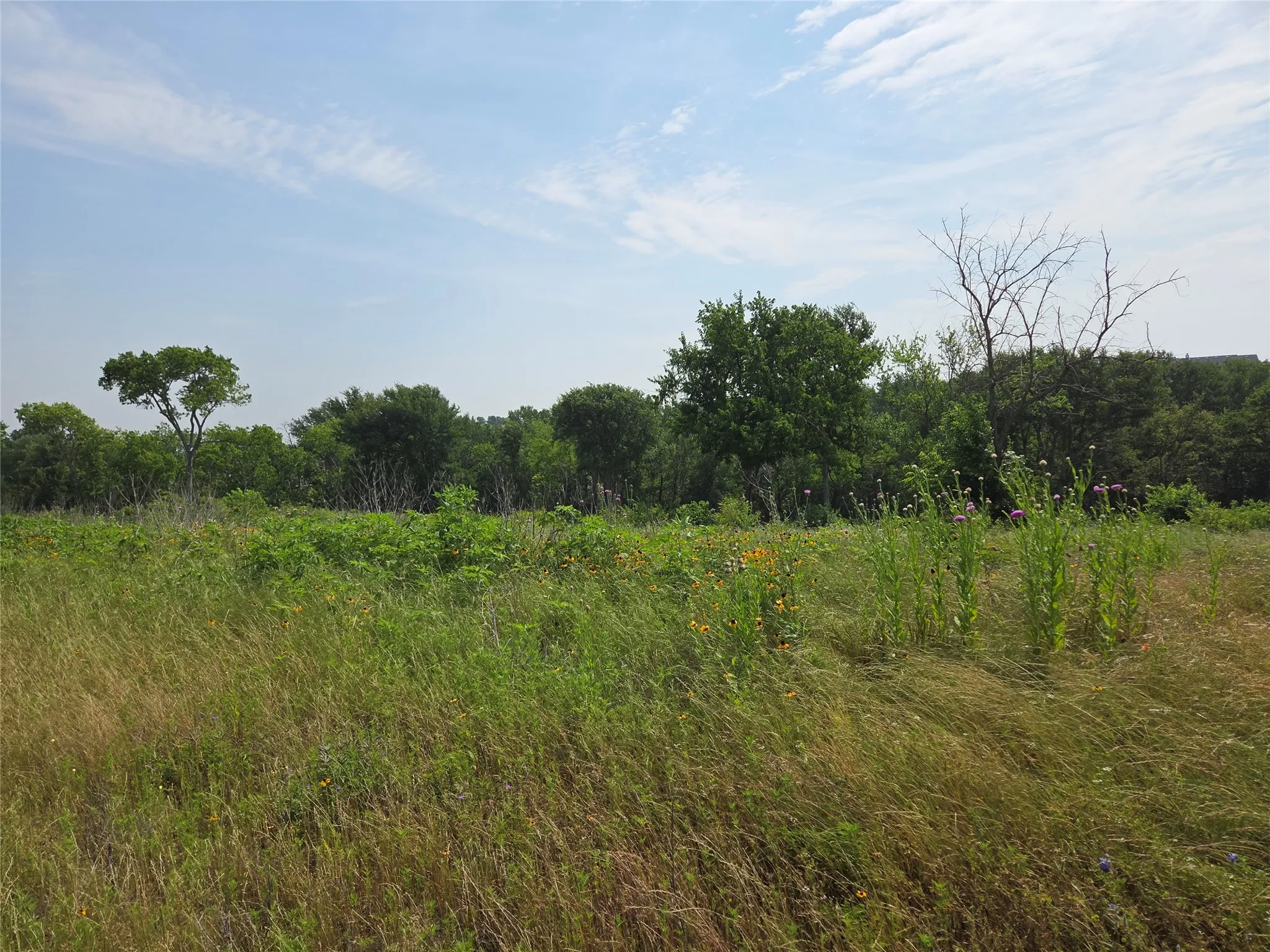Unimproved Land For Sale in Navarro County , Lot 80 & BL # 16 Shore Side Drive, Corsicana, Texas 75109, 0, 0, Garage spaces, 0 Sqft, built in 0, Price $139,000, mls#21223283, Real Estate Agent in Corsicana, Homes For Sale in Navarro county, Homes For Sale in Corsicana, Realtor in Corsicana Texas, Real Estate Brokerage Independent Realty Texas, Luminita Cordes Realtor