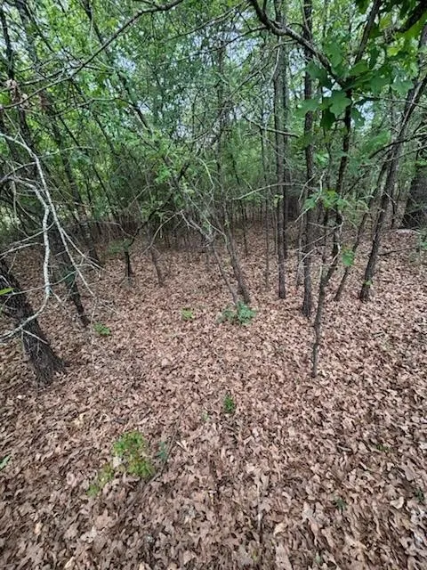 Unimproved Land For Sale in Freestone County , 46 April Cove, Streetman, Texas 75859, 0, 0, Garage spaces, 0 Sqft, built in 0, mls#21223392, Real Estate Agent in Streetman, Homes For Sale in Freestone county, Homes For Sale in Streetman, Realtor in Streetman Texas, Real Estate Brokerage Independent Realty Texas, Luminita Cordes Realtor