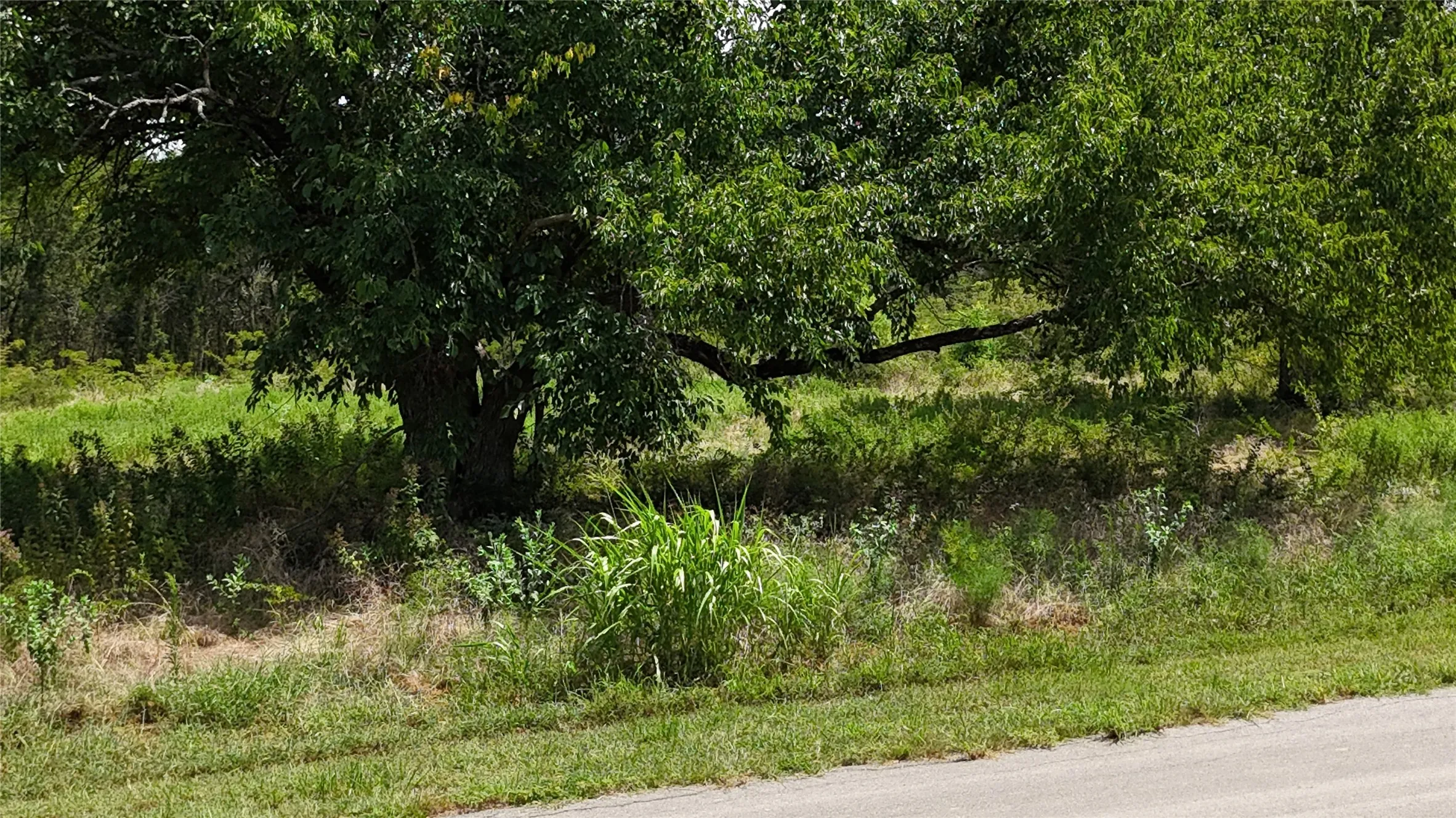 Unimproved Land For Sale in Navarro County , Lot 27 Sunrise Trail, Corsicana, Texas 75110, 0, 0, Garage spaces, 0 Sqft, built in 0, Price $95,000, mls#21223443, Real Estate Agent in Corsicana, Homes For Sale in Navarro county, Homes For Sale in Corsicana, Realtor in Corsicana Texas, Real Estate Brokerage Independent Realty Texas, Luminita Cordes Realtor