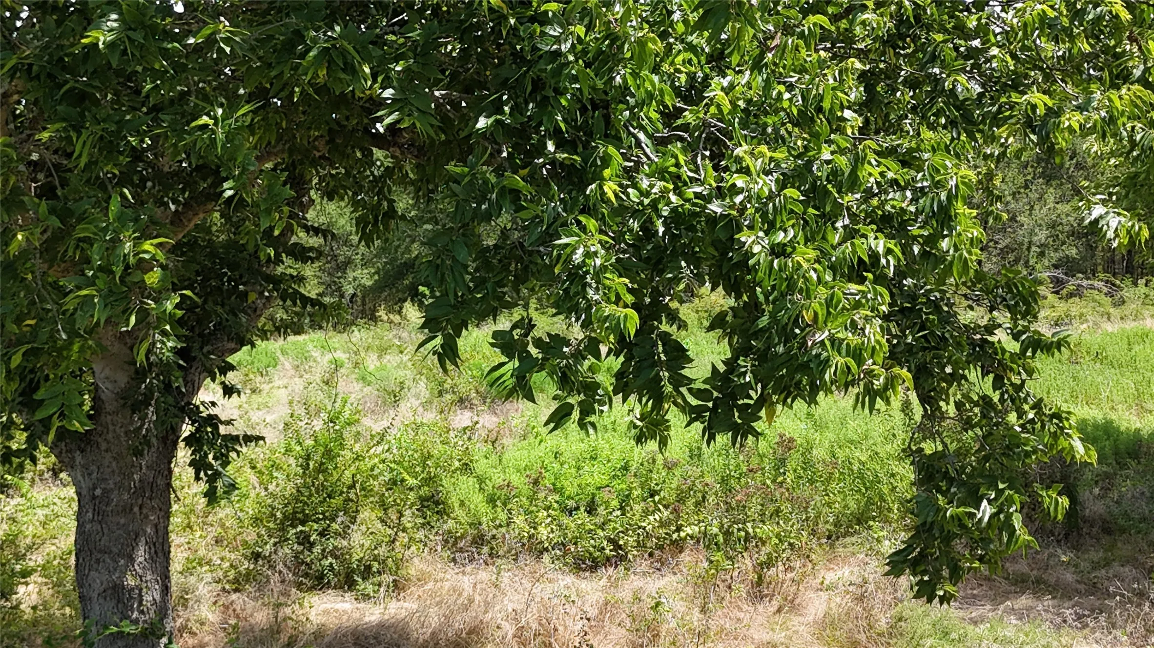 Unimproved Land For Sale in Navarro County , Lot 27 Sunrise Trail, Corsicana, Texas 75110, 0, 0, Garage spaces, 0 Sqft, built in 0, Price $95,000, mls#21223443, Real Estate Agent in Corsicana, Homes For Sale in Navarro county, Homes For Sale in Corsicana, Realtor in Corsicana Texas, Real Estate Brokerage Independent Realty Texas, Luminita Cordes Realtor