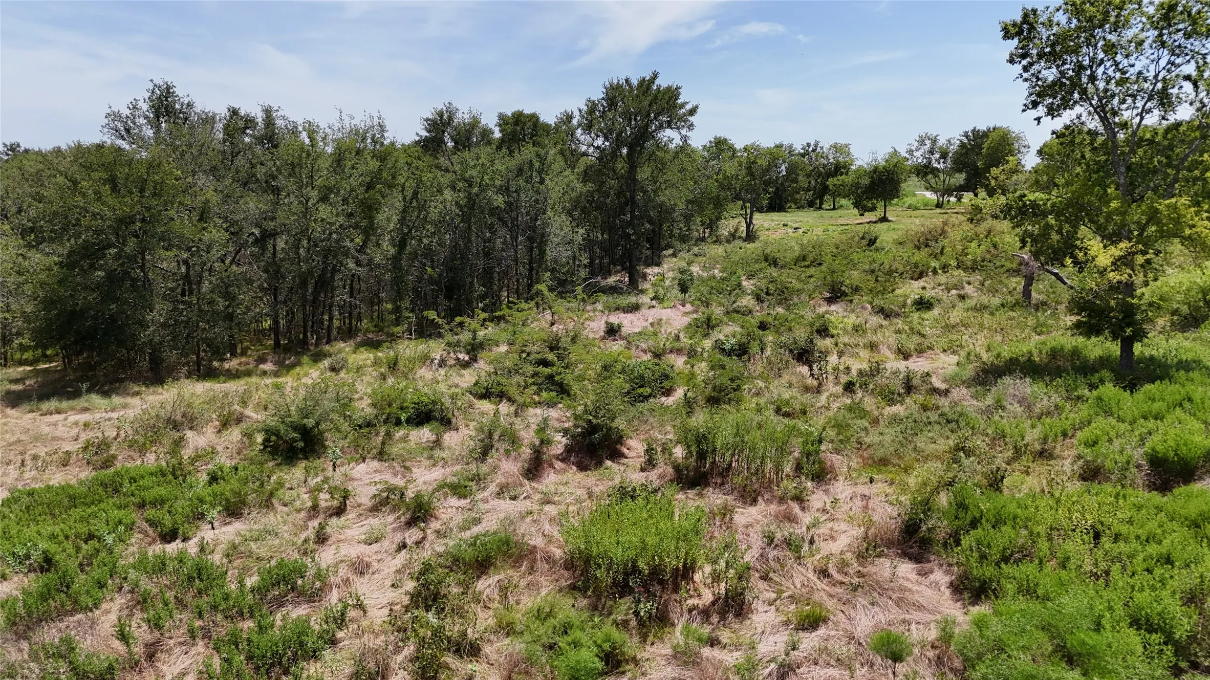 Unimproved Land For Sale in Navarro County , Lot 27 Sunrise Trail, Corsicana, Texas 75110, 0, 0, Garage spaces, 0 Sqft, built in 0, Price $95,000, mls#21223443, Real Estate Agent in Corsicana, Homes For Sale in Navarro county, Homes For Sale in Corsicana, Realtor in Corsicana Texas, Real Estate Brokerage Independent Realty Texas, Luminita Cordes Realtor