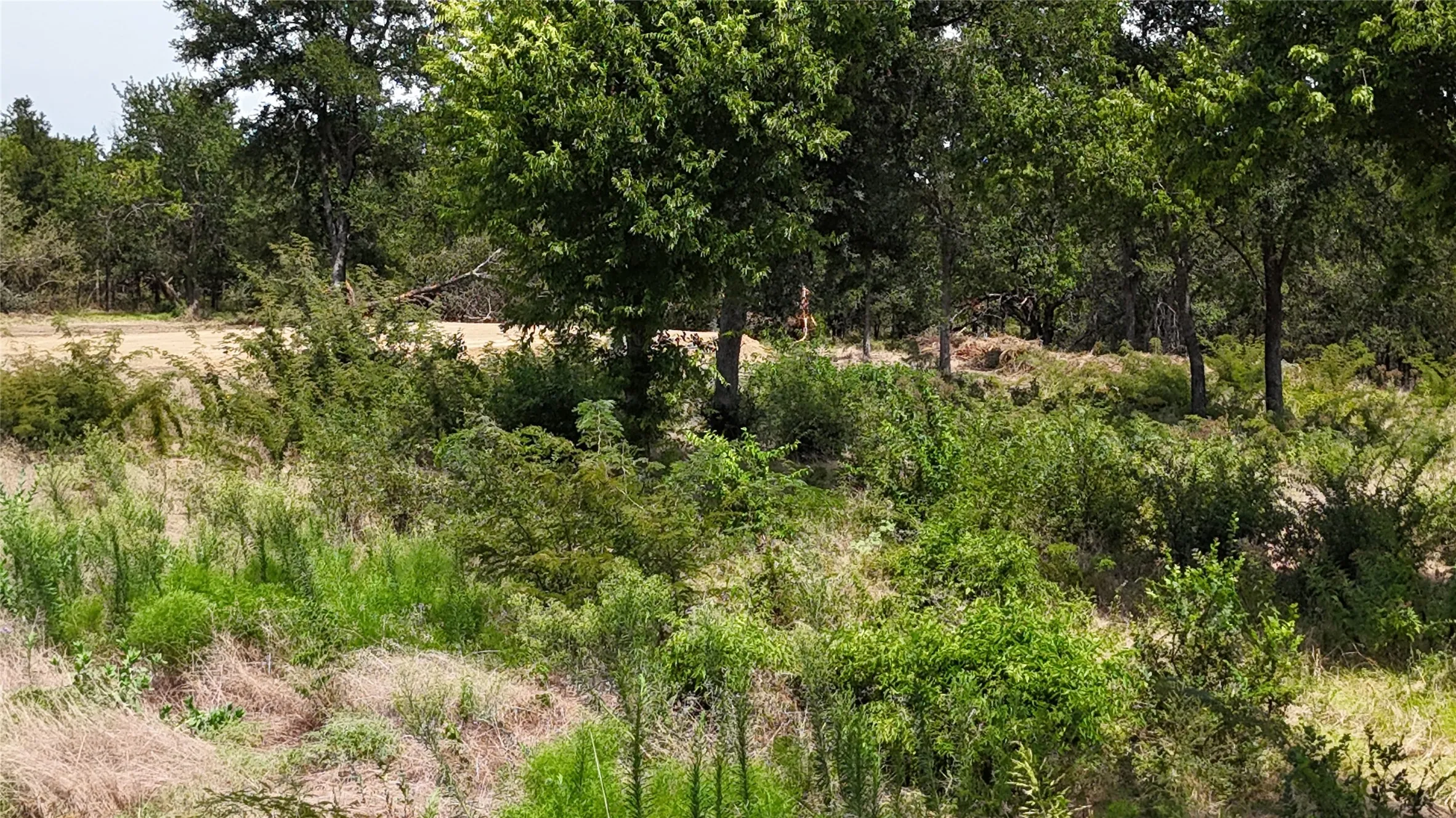Unimproved Land For Sale in Navarro County , Lot 27 Sunrise Trail, Corsicana, Texas 75110, 0, 0, Garage spaces, 0 Sqft, built in 0, Price $95,000, mls#21223443, Real Estate Agent in Corsicana, Homes For Sale in Navarro county, Homes For Sale in Corsicana, Realtor in Corsicana Texas, Real Estate Brokerage Independent Realty Texas, Luminita Cordes Realtor