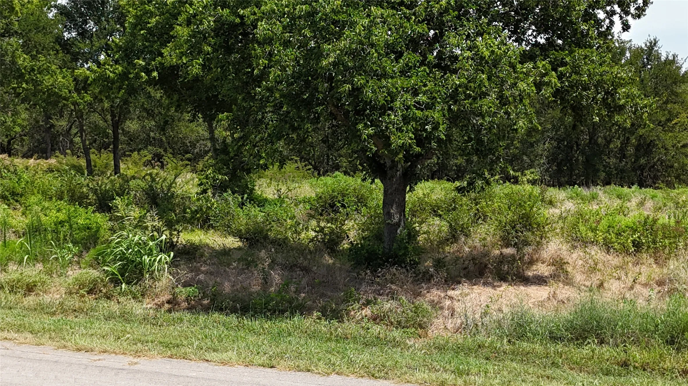 Unimproved Land For Sale in Navarro County , Lot 27 Sunrise Trail, Corsicana, Texas 75110, 0, 0, Garage spaces, 0 Sqft, built in 0, Price $95,000, mls#21223443, Real Estate Agent in Corsicana, Homes For Sale in Navarro county, Homes For Sale in Corsicana, Realtor in Corsicana Texas, Real Estate Brokerage Independent Realty Texas, Luminita Cordes Realtor