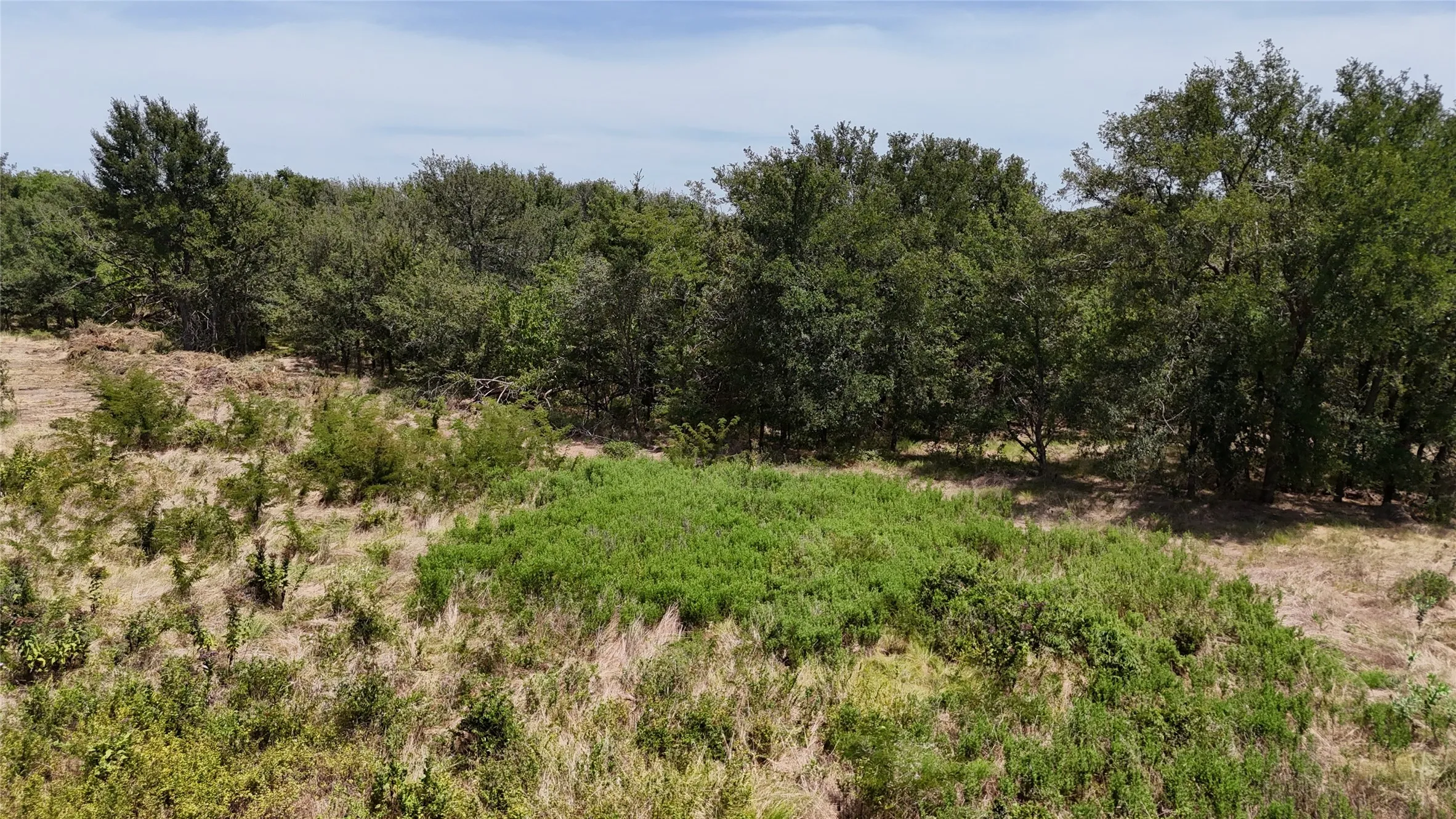 Unimproved Land For Sale in Navarro County , Lot 27 Sunrise Trail, Corsicana, Texas 75110, 0, 0, Garage spaces, 0 Sqft, built in 0, Price $95,000, mls#21223443, Real Estate Agent in Corsicana, Homes For Sale in Navarro county, Homes For Sale in Corsicana, Realtor in Corsicana Texas, Real Estate Brokerage Independent Realty Texas, Luminita Cordes Realtor