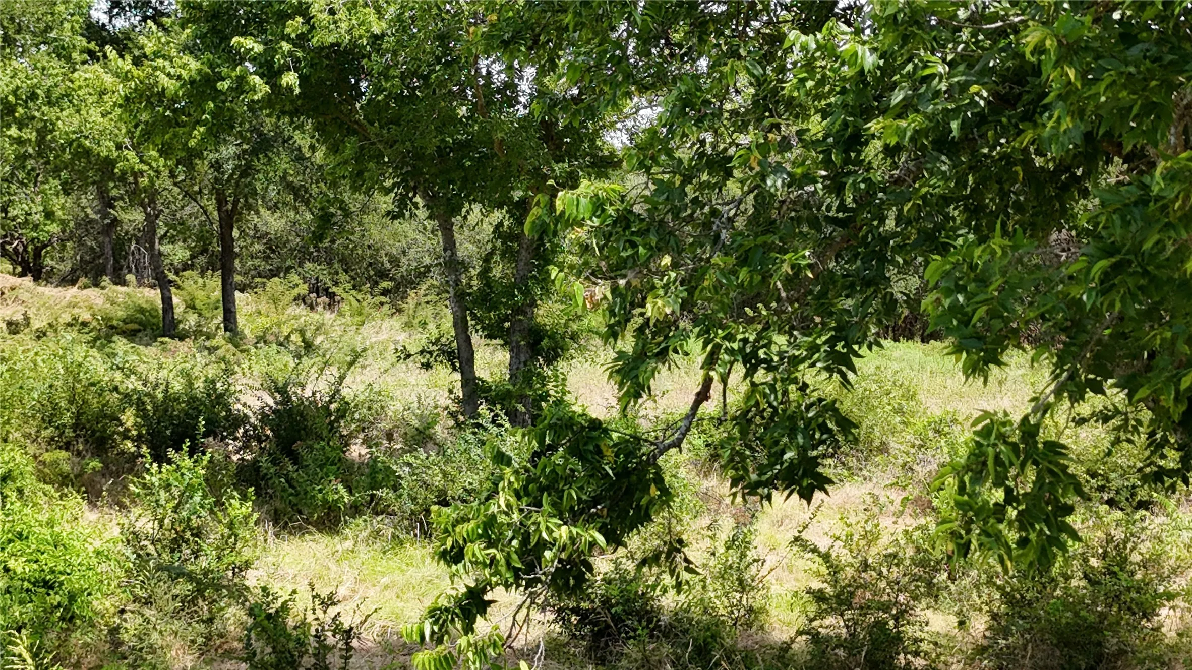 Unimproved Land For Sale in Navarro County , Lot 27 Sunrise Trail, Corsicana, Texas 75110, 0, 0, Garage spaces, 0 Sqft, built in 0, Price $95,000, mls#21223443, Real Estate Agent in Corsicana, Homes For Sale in Navarro county, Homes For Sale in Corsicana, Realtor in Corsicana Texas, Real Estate Brokerage Independent Realty Texas, Luminita Cordes Realtor