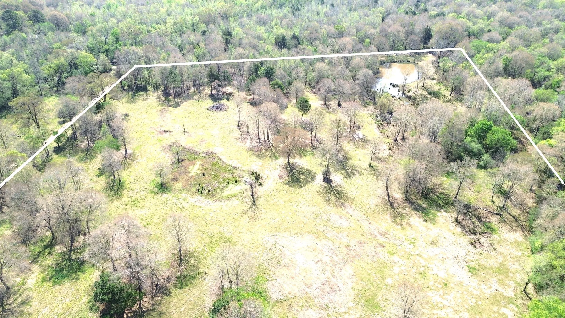 Unimproved Land For Sale in Camp County , TBD CR 3324, Pittsburg, Texas 75686, 0, 0, Garage spaces, 0 Sqft, built in 0, mls#21220442, Real Estate Agent in Pittsburg, Homes For Sale in Camp county, Homes For Sale in Pittsburg, Realtor in Pittsburg Texas, Real Estate Brokerage Independent Realty Texas, Luminita Cordes Realtor
