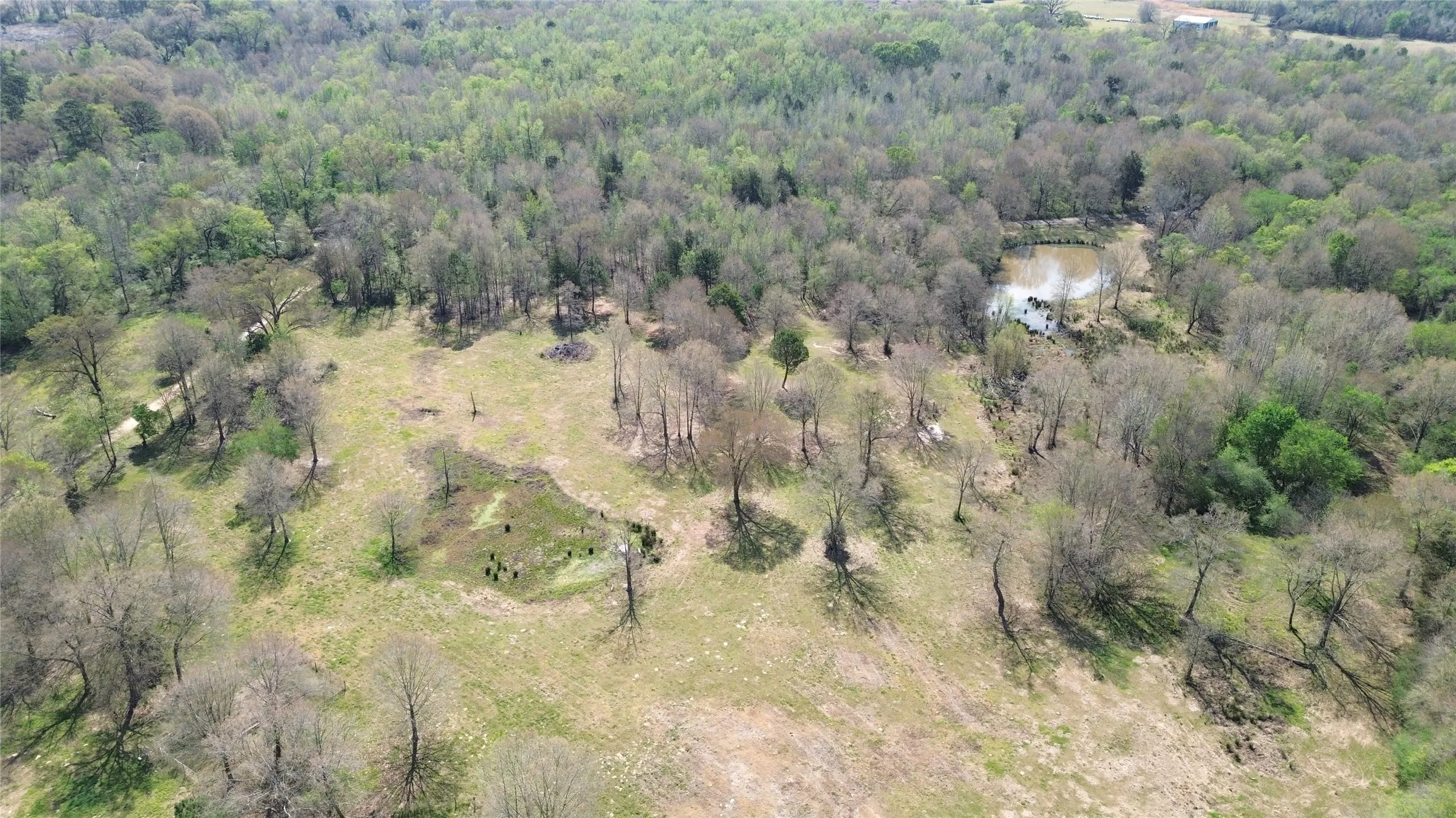 Unimproved Land For Sale in Camp County , TBD CR 3324, Pittsburg, Texas 75686, 0, 0, Garage spaces, 0 Sqft, built in 0, mls#21220442, Real Estate Agent in Pittsburg, Homes For Sale in Camp county, Homes For Sale in Pittsburg, Realtor in Pittsburg Texas, Real Estate Brokerage Independent Realty Texas, Luminita Cordes Realtor