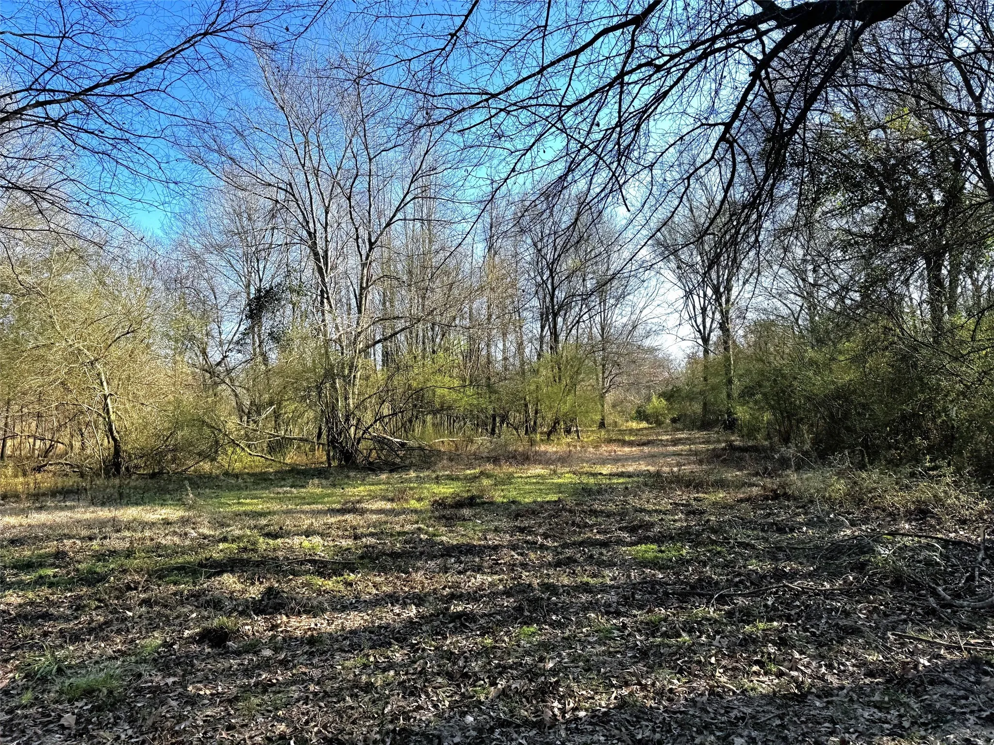 Unimproved Land For Sale in Camp County , TBD CR 3324, Pittsburg, Texas 75686, 0, 0, Garage spaces, 0 Sqft, built in 0, mls#21220442, Real Estate Agent in Pittsburg, Homes For Sale in Camp county, Homes For Sale in Pittsburg, Realtor in Pittsburg Texas, Real Estate Brokerage Independent Realty Texas, Luminita Cordes Realtor