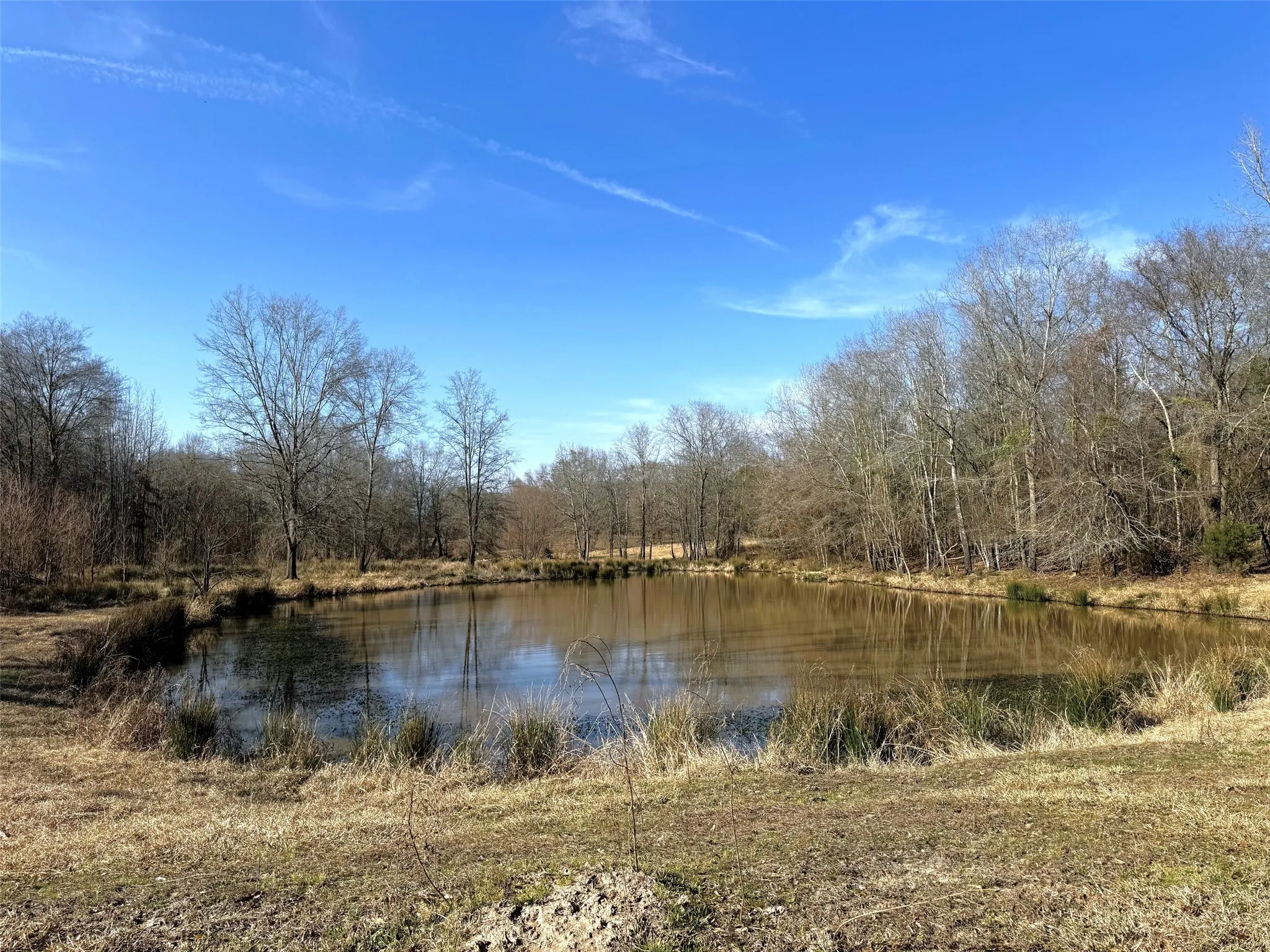 Unimproved Land For Sale in Camp County , TBD CR 3324, Pittsburg, Texas 75686, 0, 0, Garage spaces, 0 Sqft, built in 0, mls#21220442, Real Estate Agent in Pittsburg, Homes For Sale in Camp county, Homes For Sale in Pittsburg, Realtor in Pittsburg Texas, Real Estate Brokerage Independent Realty Texas, Luminita Cordes Realtor