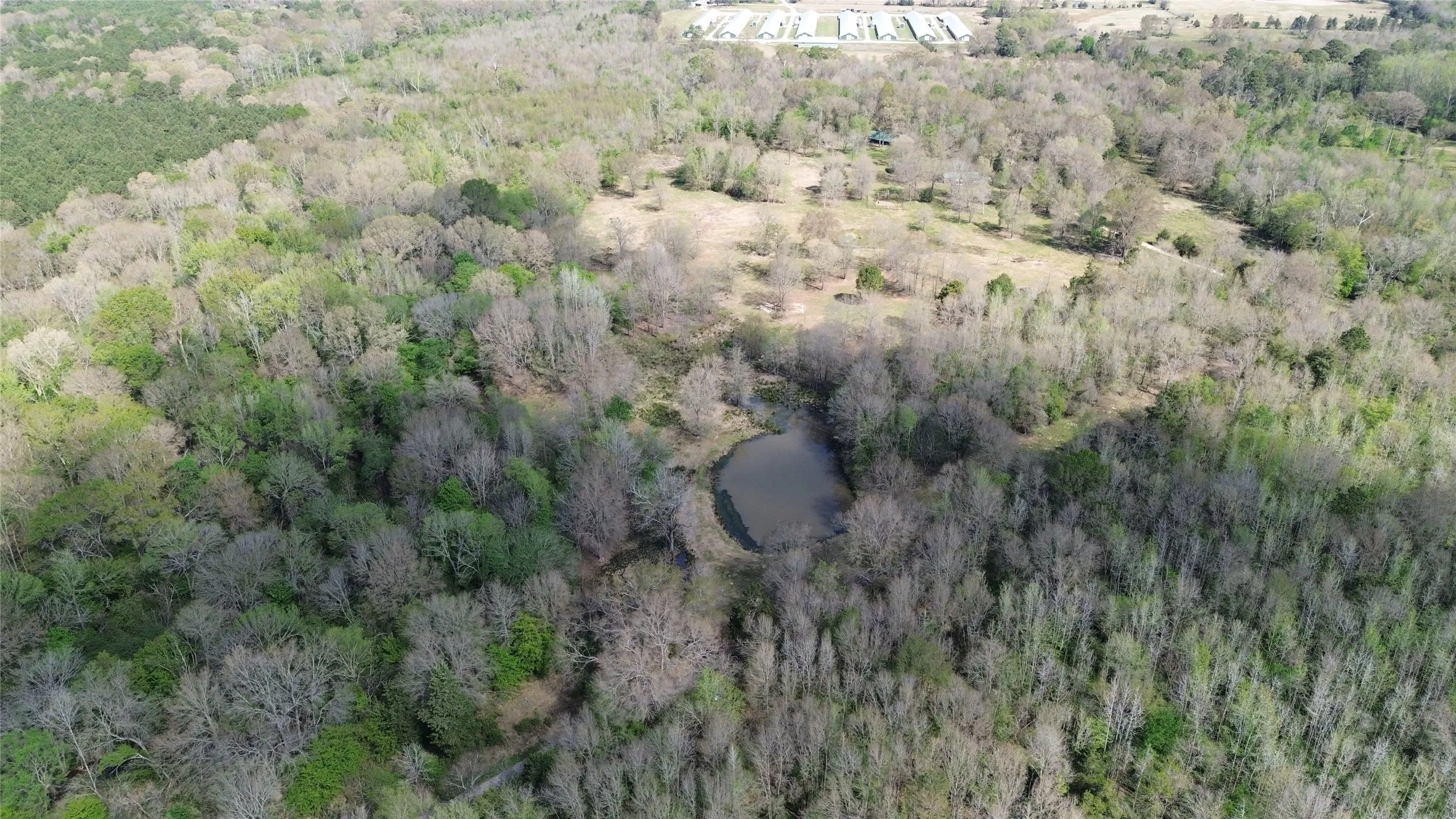 Unimproved Land For Sale in Camp County , TBD CR 3324, Pittsburg, Texas 75686, 0, 0, Garage spaces, 0 Sqft, built in 0, mls#21220442, Real Estate Agent in Pittsburg, Homes For Sale in Camp county, Homes For Sale in Pittsburg, Realtor in Pittsburg Texas, Real Estate Brokerage Independent Realty Texas, Luminita Cordes Realtor