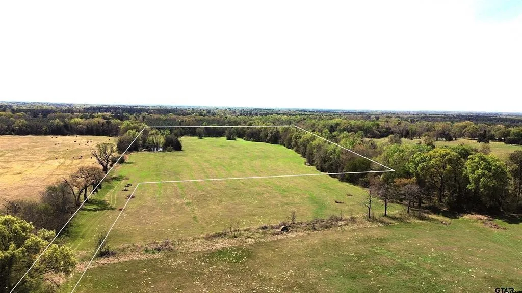 Unimproved Land For Sale in Camp County , 808 W FM 1519, Pittsburg, Texas 75686, 0, 0, Garage spaces, 0 Sqft, built in 0, Price $306,000, mls#21220414, Real Estate Agent in Pittsburg, Homes For Sale in Camp county, Homes For Sale in Pittsburg, Realtor in Pittsburg Texas, Real Estate Brokerage Independent Realty Texas, Luminita Cordes Realtor