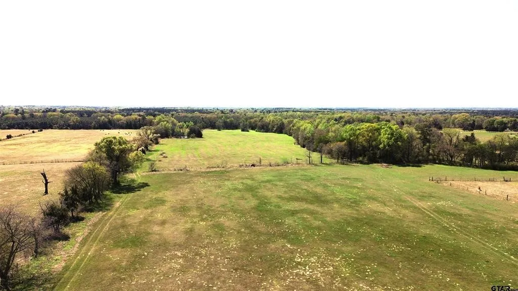 Unimproved Land For Sale in Camp County , 808 W FM 1519, Pittsburg, Texas 75686, 0, 0, Garage spaces, 0 Sqft, built in 0, Price $306,000, mls#21220414, Real Estate Agent in Pittsburg, Homes For Sale in Camp county, Homes For Sale in Pittsburg, Realtor in Pittsburg Texas, Real Estate Brokerage Independent Realty Texas, Luminita Cordes Realtor