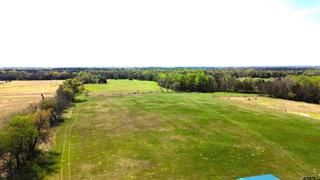 Unimproved Land For Sale in Camp County , 808 W FM 1519, Pittsburg, Texas 75686, 0, 0, Garage spaces, 0 Sqft, built in 0, Price $306,000, mls#21220414, Real Estate Agent in Pittsburg, Homes For Sale in Camp county, Homes For Sale in Pittsburg, Realtor in Pittsburg Texas, Real Estate Brokerage Independent Realty Texas, Luminita Cordes Realtor