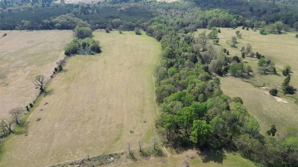 Unimproved Land For Sale in Camp County , 808 W FM 1519, Pittsburg, Texas 75686, 0, 0, Garage spaces, 0 Sqft, built in 0, Price $306,000, mls#21220414, Real Estate Agent in Pittsburg, Homes For Sale in Camp county, Homes For Sale in Pittsburg, Realtor in Pittsburg Texas, Real Estate Brokerage Independent Realty Texas, Luminita Cordes Realtor