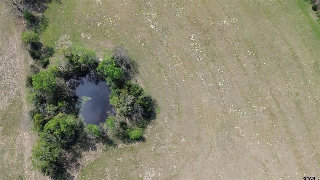 Unimproved Land For Sale in Camp County , 808 W FM 1519, Pittsburg, Texas 75686, 0, 0, Garage spaces, 0 Sqft, built in 0, Price $306,000, mls#21220414, Real Estate Agent in Pittsburg, Homes For Sale in Camp county, Homes For Sale in Pittsburg, Realtor in Pittsburg Texas, Real Estate Brokerage Independent Realty Texas, Luminita Cordes Realtor