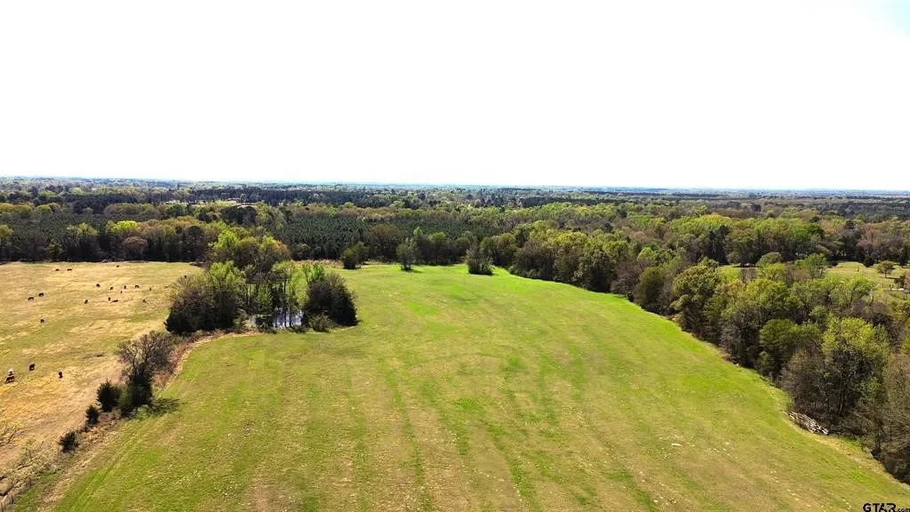 Unimproved Land For Sale in Camp County , 808 W FM 1519, Pittsburg, Texas 75686, 0, 0, Garage spaces, 0 Sqft, built in 0, Price $306,000, mls#21220414, Real Estate Agent in Pittsburg, Homes For Sale in Camp county, Homes For Sale in Pittsburg, Realtor in Pittsburg Texas, Real Estate Brokerage Independent Realty Texas, Luminita Cordes Realtor