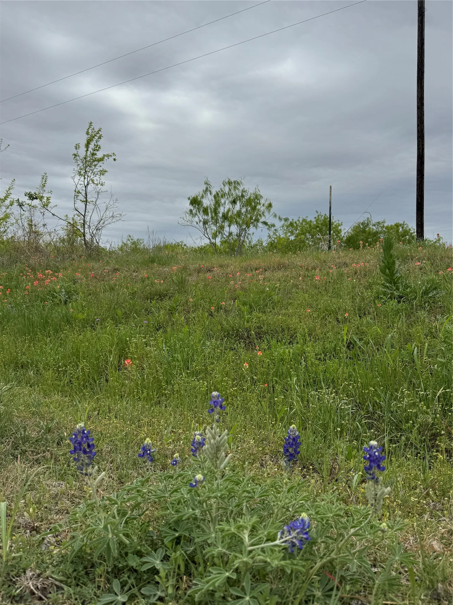 Unimproved Land For Sale in Navarro County , TBD SE County Road 1280, Streetman, Texas 75859, 0, 0, Garage spaces, 0 Sqft, built in 0, mls#21221101, Real Estate Agent in Streetman, Homes For Sale in Navarro county, Homes For Sale in Streetman, Realtor in Streetman Texas, Real Estate Brokerage Independent Realty Texas, Luminita Cordes Realtor