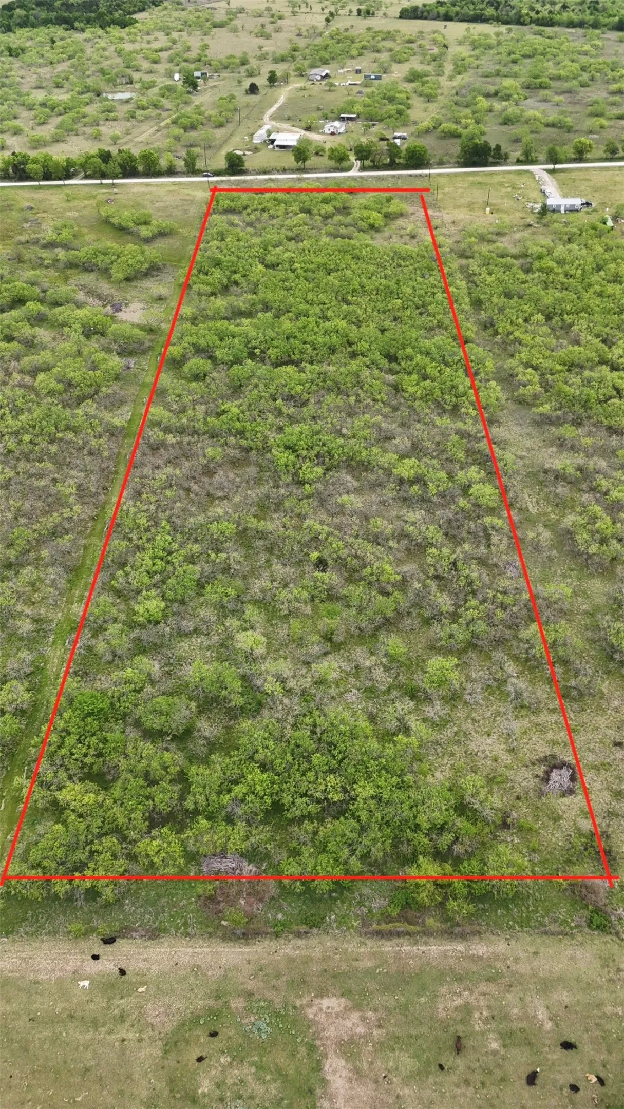 Unimproved Land For Sale in Navarro County , TBD SE County Road 1280, Streetman, Texas 75859, 0, 0, Garage spaces, 0 Sqft, built in 0, mls#21221101, Real Estate Agent in Streetman, Homes For Sale in Navarro county, Homes For Sale in Streetman, Realtor in Streetman Texas, Real Estate Brokerage Independent Realty Texas, Luminita Cordes Realtor