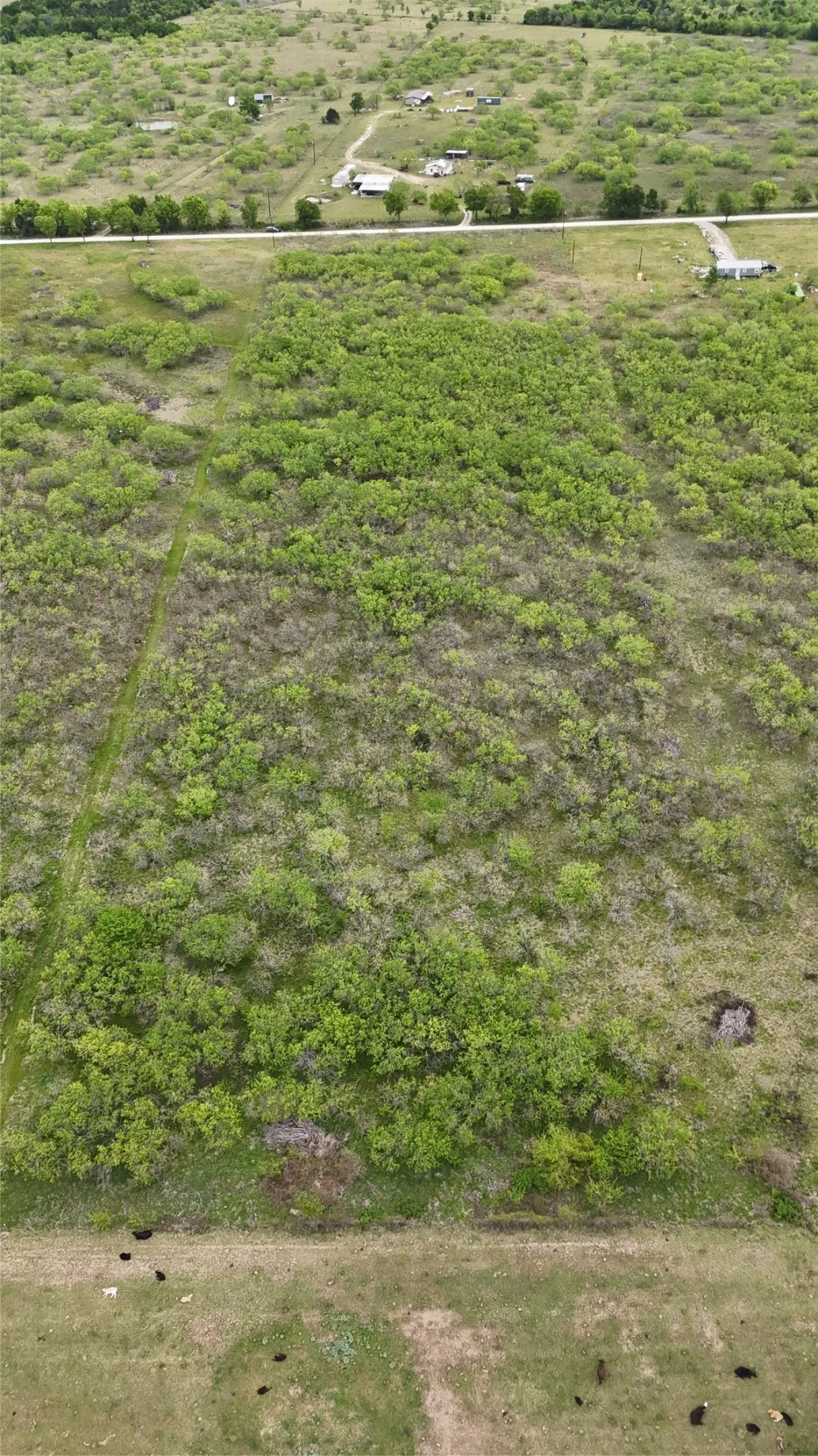 Unimproved Land For Sale in Navarro County , TBD SE County Road 1280, Streetman, Texas 75859, 0, 0, Garage spaces, 0 Sqft, built in 0, mls#21221101, Real Estate Agent in Streetman, Homes For Sale in Navarro county, Homes For Sale in Streetman, Realtor in Streetman Texas, Real Estate Brokerage Independent Realty Texas, Luminita Cordes Realtor