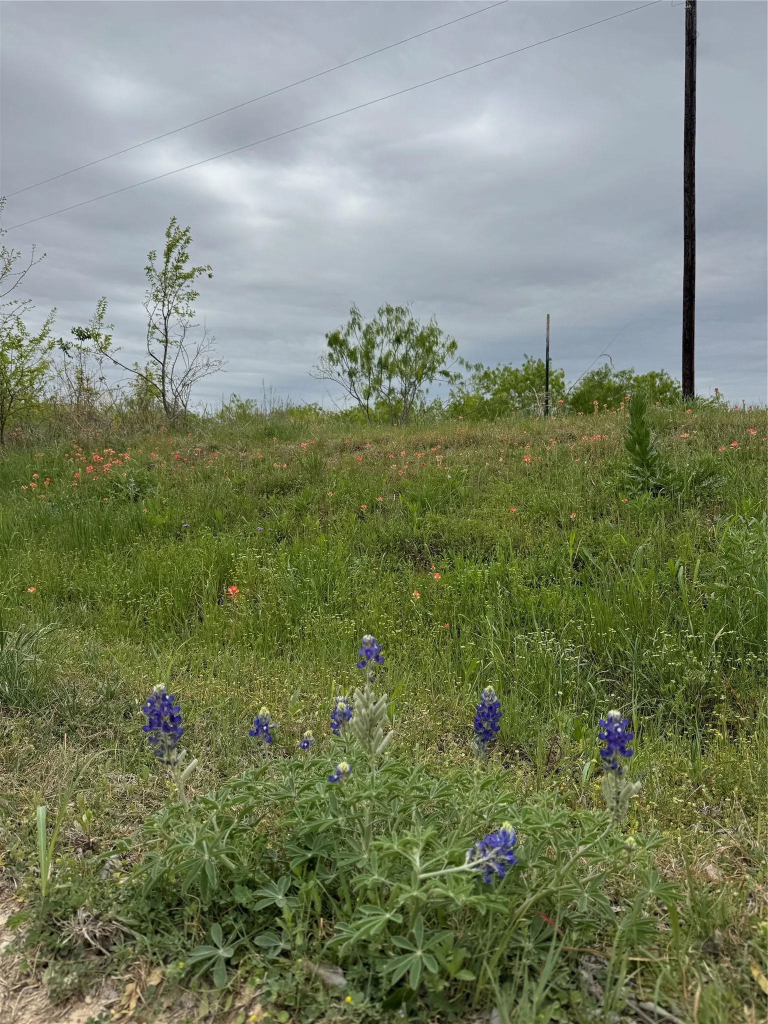 Unimproved Land For Sale in Navarro County , TBD SE County Road 1280, Streetman, Texas 75859, 0, 0, Garage spaces, 0 Sqft, built in 0, mls#21221101, Real Estate Agent in Streetman, Homes For Sale in Navarro county, Homes For Sale in Streetman, Realtor in Streetman Texas, Real Estate Brokerage Independent Realty Texas, Luminita Cordes Realtor