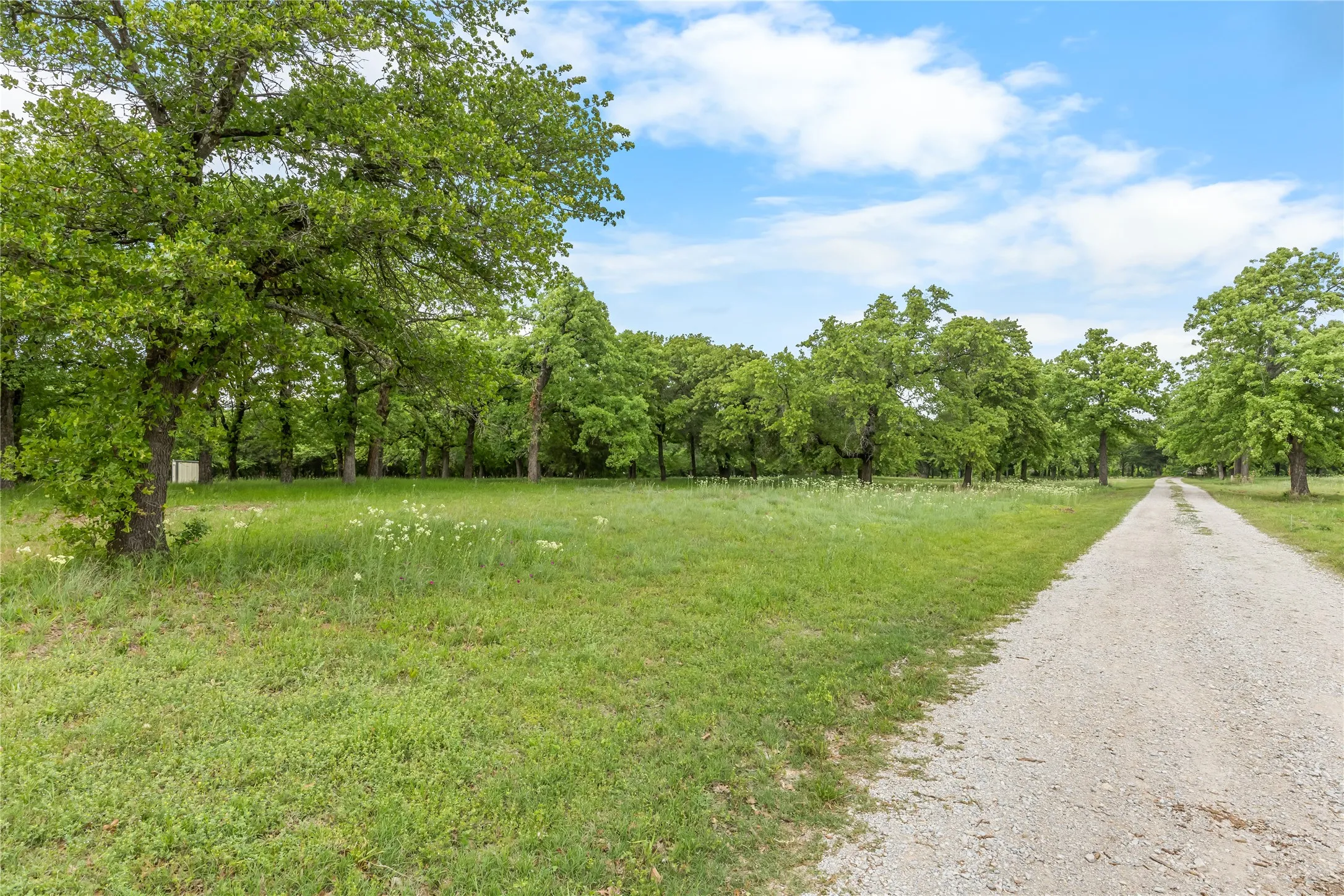 Expansive exterior grounds featuring a gravel driveway, lush green grass, and mature trees
