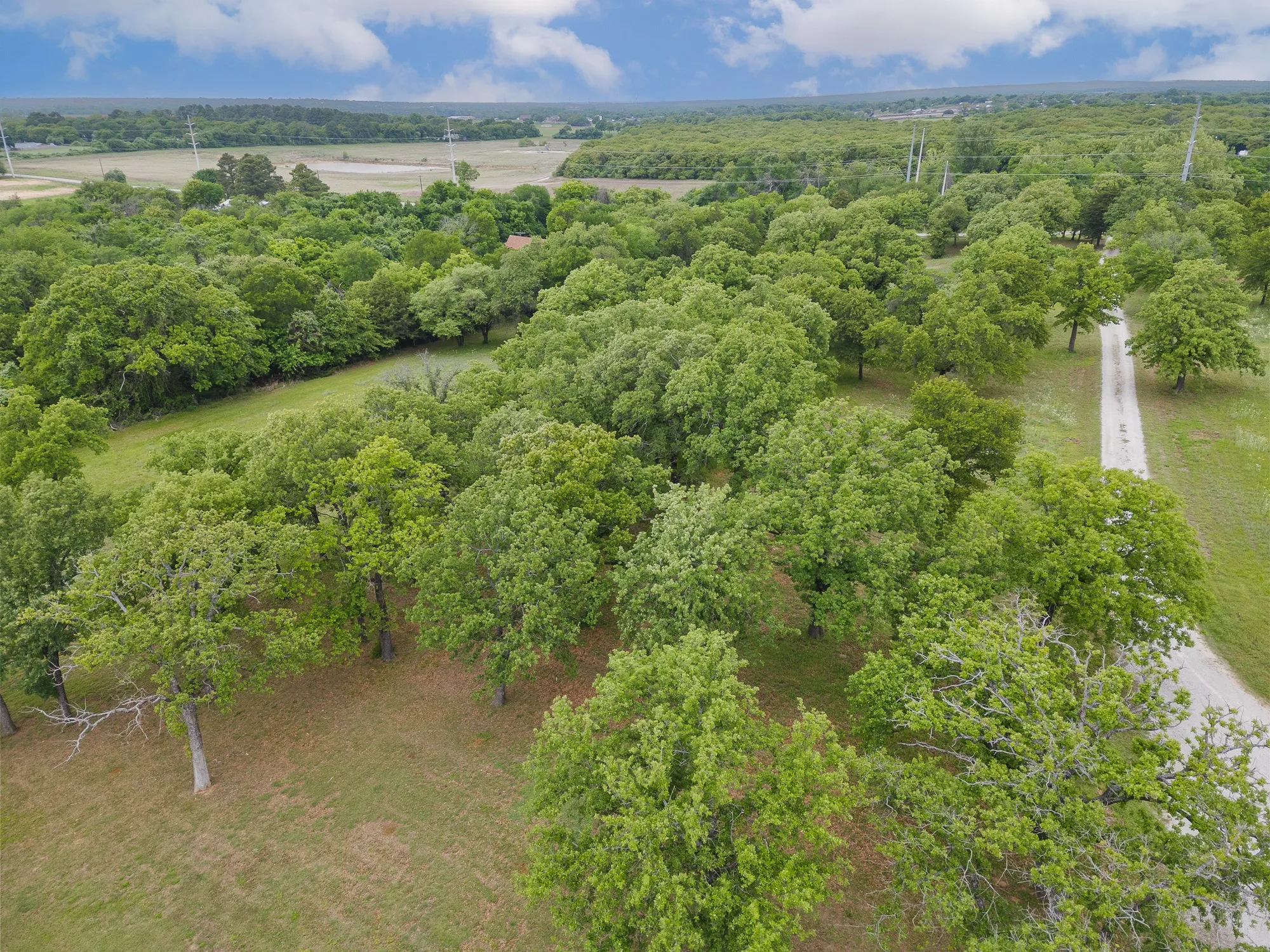 Expansive property featuring mature trees and a visible dirt road, bordered by open fields in the distance
