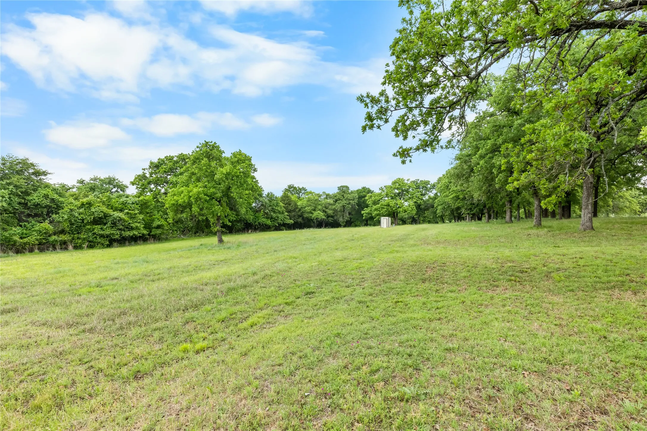The property features an expansive green lawn with scattered mature trees and a wooded perimeter