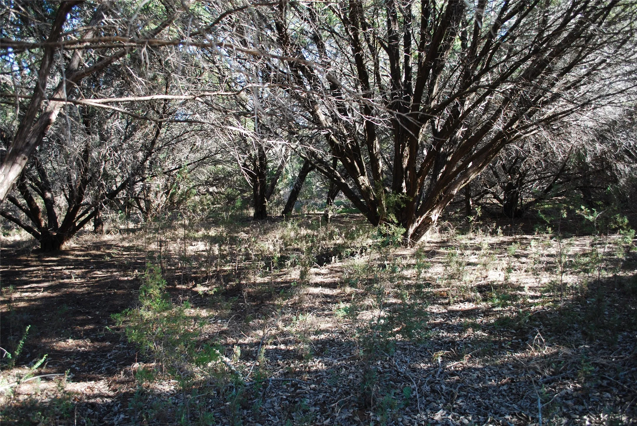 Unimproved Land For Sale in Hill County , 8182 Cedar Crest Drive, Whitney, Texas 76692, 0, 0, Garage spaces, 0 Sqft, built in 0, Price $9,000, mls#21221777, Real Estate Agent in Whitney, Homes For Sale in Hill county, Homes For Sale in Whitney, Realtor in Whitney Texas, Real Estate Brokerage Independent Realty Texas, Luminita Cordes Realtor