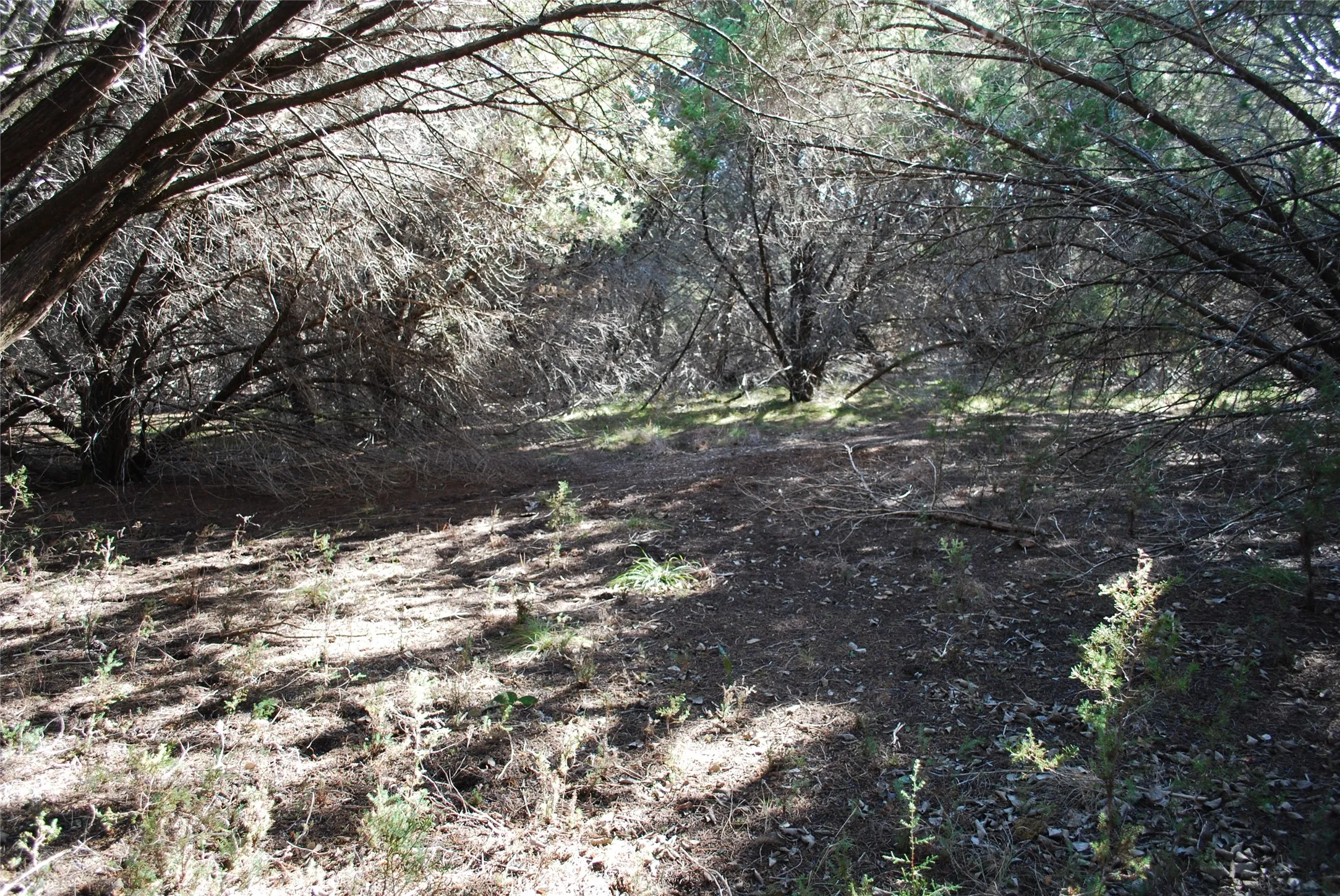 Unimproved Land For Sale in Hill County , 8182 Cedar Crest Drive, Whitney, Texas 76692, 0, 0, Garage spaces, 0 Sqft, built in 0, Price $9,000, mls#21221777, Real Estate Agent in Whitney, Homes For Sale in Hill county, Homes For Sale in Whitney, Realtor in Whitney Texas, Real Estate Brokerage Independent Realty Texas, Luminita Cordes Realtor