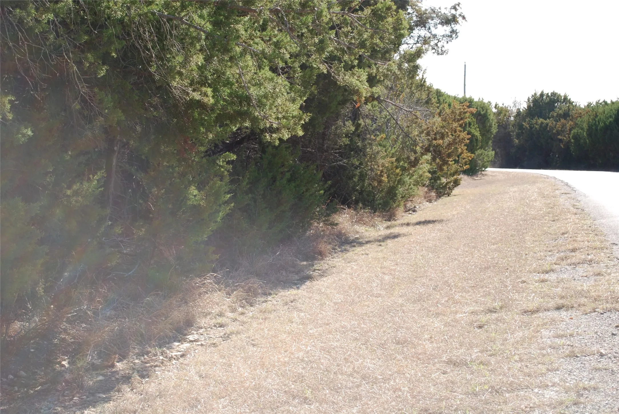 Unimproved Land For Sale in Hill County , 8182 Cedar Crest Drive, Whitney, Texas 76692, 0, 0, Garage spaces, 0 Sqft, built in 0, Price $9,000, mls#21221777, Real Estate Agent in Whitney, Homes For Sale in Hill county, Homes For Sale in Whitney, Realtor in Whitney Texas, Real Estate Brokerage Independent Realty Texas, Luminita Cordes Realtor