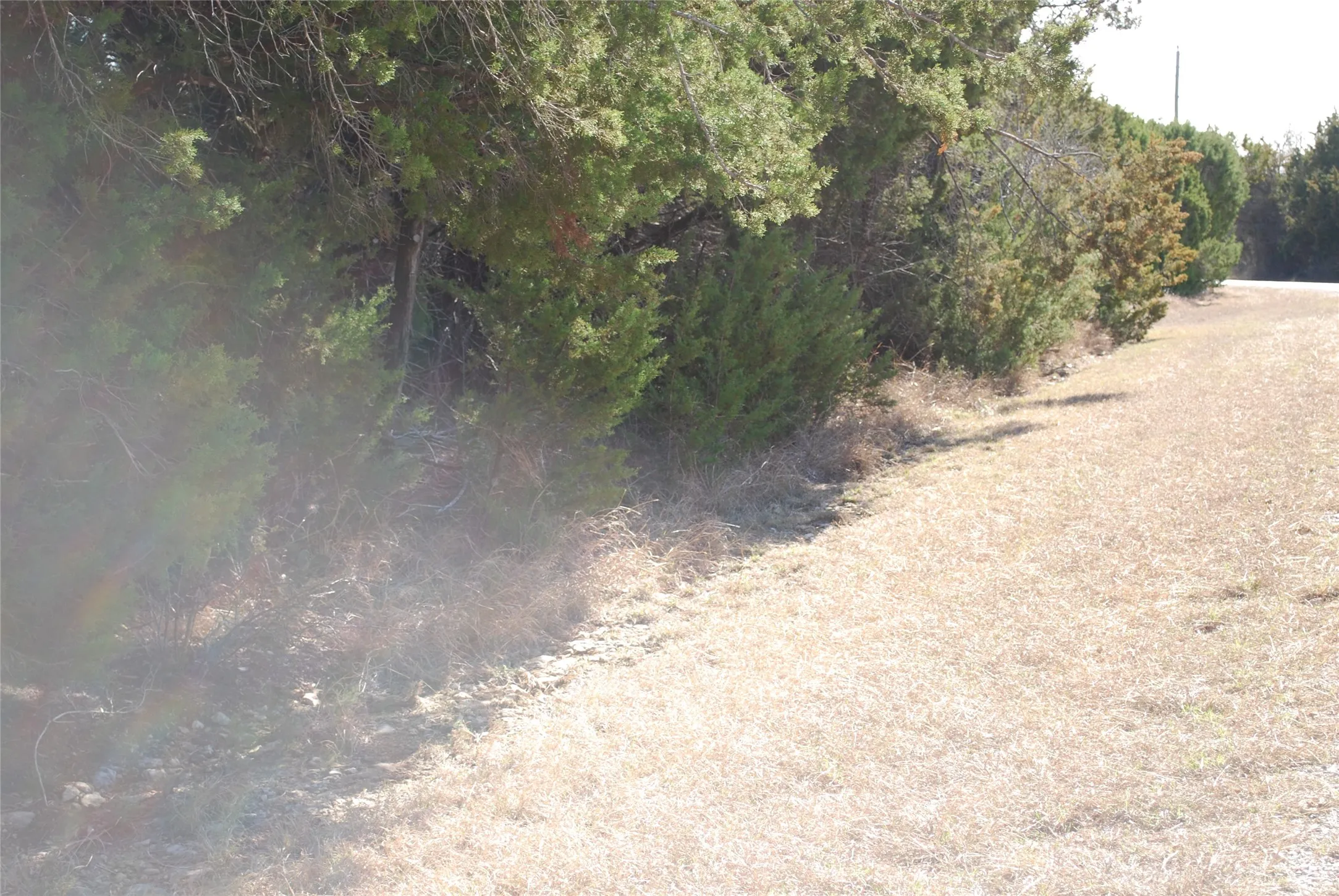 Unimproved Land For Sale in Hill County , 8182 Cedar Crest Drive, Whitney, Texas 76692, 0, 0, Garage spaces, 0 Sqft, built in 0, Price $9,000, mls#21221777, Real Estate Agent in Whitney, Homes For Sale in Hill county, Homes For Sale in Whitney, Realtor in Whitney Texas, Real Estate Brokerage Independent Realty Texas, Luminita Cordes Realtor