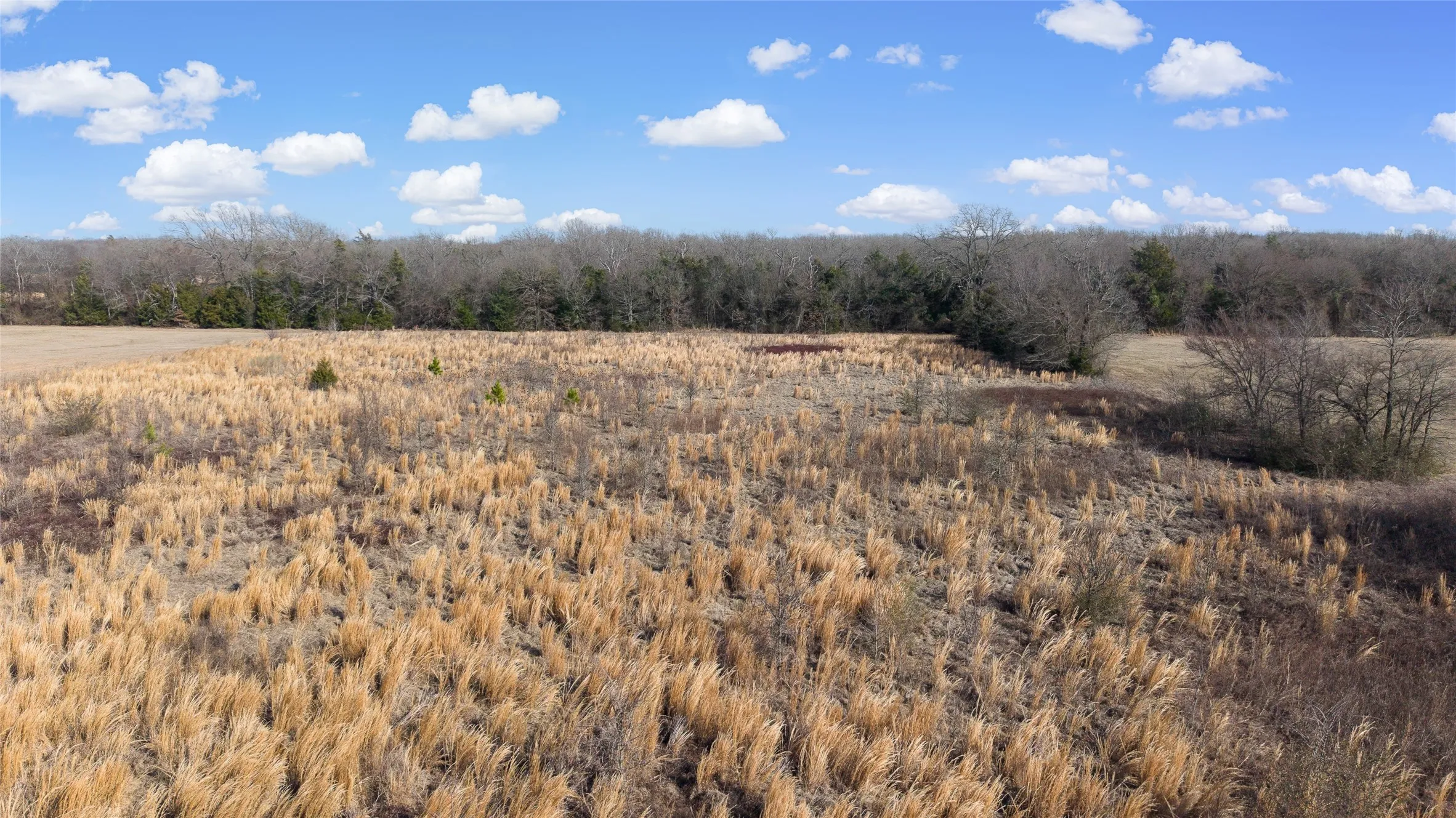 Unimproved Land For Sale in Hopkins County , 7 .95 ac County Road 2426, Como, Texas 75431, 0, 0, Garage spaces, 0 Sqft, built in 0, Price $79,500, mls#21223397, Real Estate Agent in Como, Homes For Sale in Hopkins county, Homes For Sale in Como, Realtor in Como Texas, Real Estate Brokerage Independent Realty Texas, Luminita Cordes Realtor