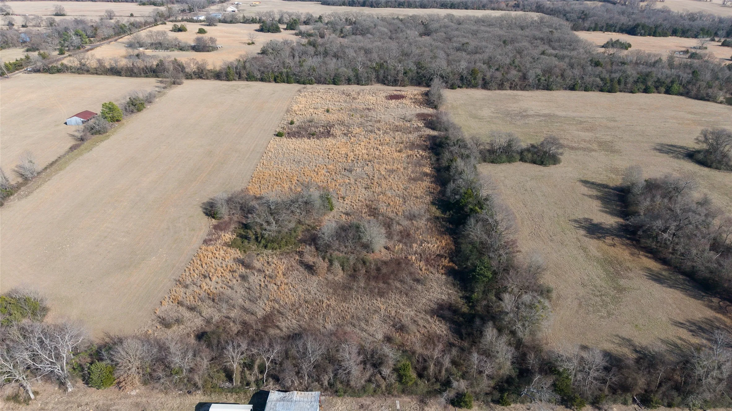 Unimproved Land For Sale in Hopkins County , 7 .95 ac County Road 2426, Como, Texas 75431, 0, 0, Garage spaces, 0 Sqft, built in 0, Price $79,500, mls#21223397, Real Estate Agent in Como, Homes For Sale in Hopkins county, Homes For Sale in Como, Realtor in Como Texas, Real Estate Brokerage Independent Realty Texas, Luminita Cordes Realtor