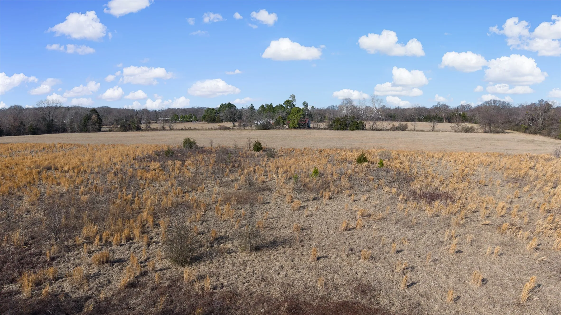 Unimproved Land For Sale in Hopkins County , 7 .95 ac County Road 2426, Como, Texas 75431, 0, 0, Garage spaces, 0 Sqft, built in 0, Price $79,500, mls#21223397, Real Estate Agent in Como, Homes For Sale in Hopkins county, Homes For Sale in Como, Realtor in Como Texas, Real Estate Brokerage Independent Realty Texas, Luminita Cordes Realtor