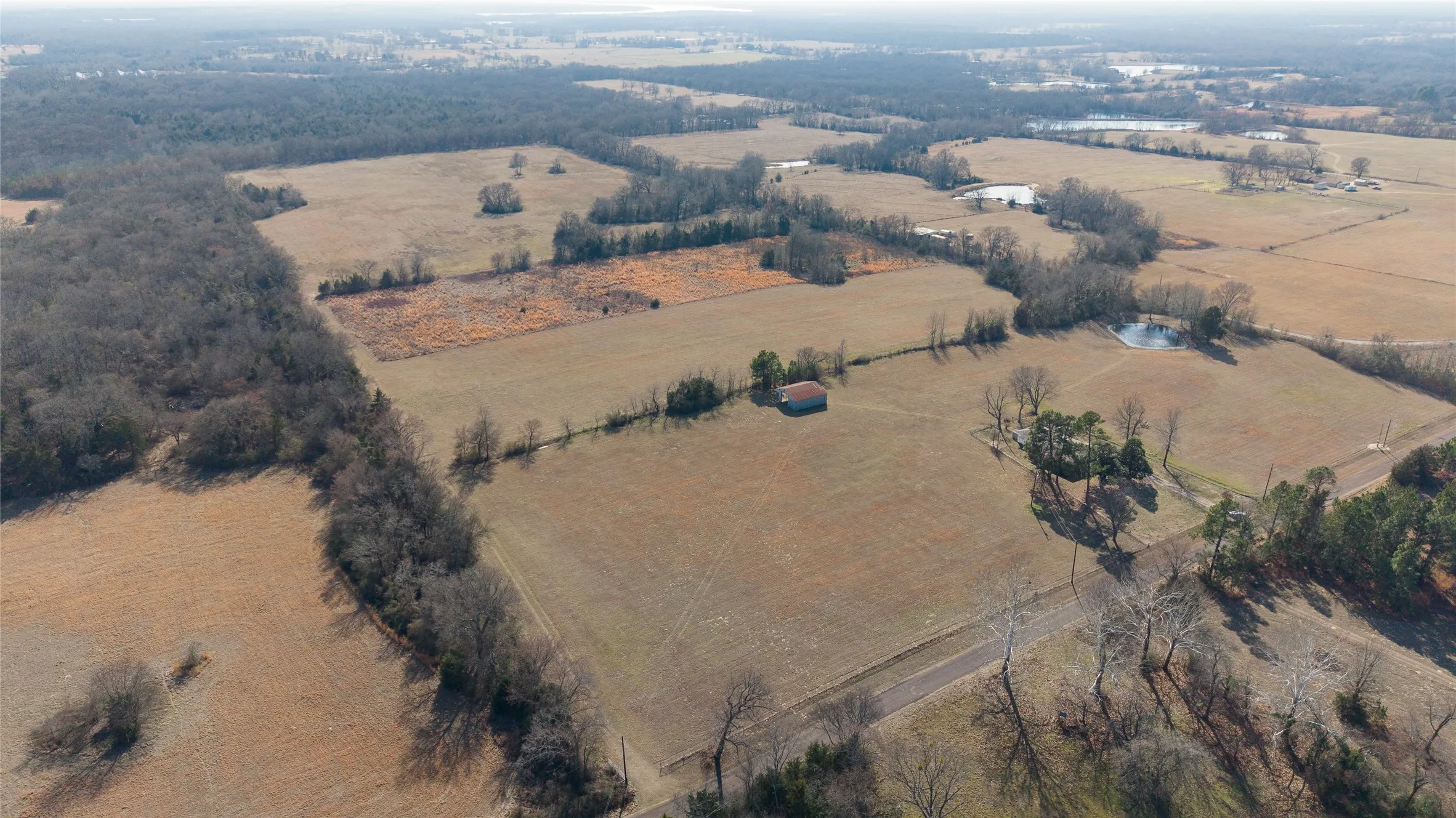Unimproved Land For Sale in Hopkins County , 7 .95 ac County Road 2426, Como, Texas 75431, 0, 0, Garage spaces, 0 Sqft, built in 0, Price $79,500, mls#21223397, Real Estate Agent in Como, Homes For Sale in Hopkins county, Homes For Sale in Como, Realtor in Como Texas, Real Estate Brokerage Independent Realty Texas, Luminita Cordes Realtor