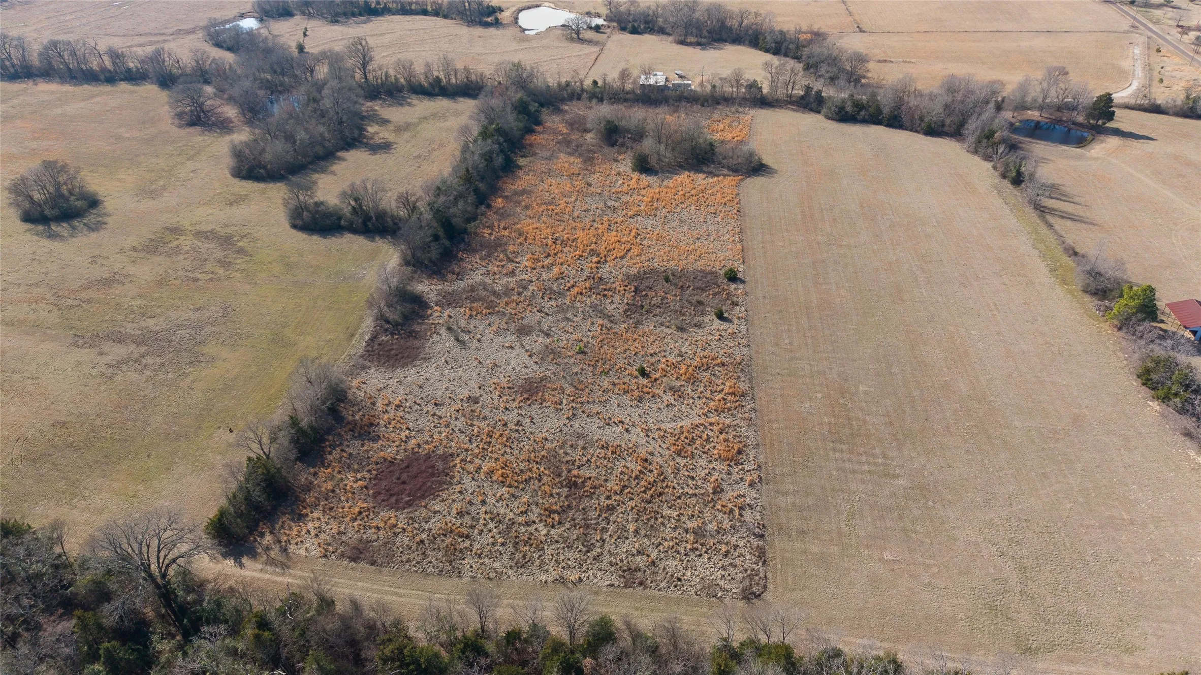 Unimproved Land For Sale in Hopkins County , 7 .95 ac County Road 2426, Como, Texas 75431, 0, 0, Garage spaces, 0 Sqft, built in 0, Price $79,500, mls#21223397, Real Estate Agent in Como, Homes For Sale in Hopkins county, Homes For Sale in Como, Realtor in Como Texas, Real Estate Brokerage Independent Realty Texas, Luminita Cordes Realtor
