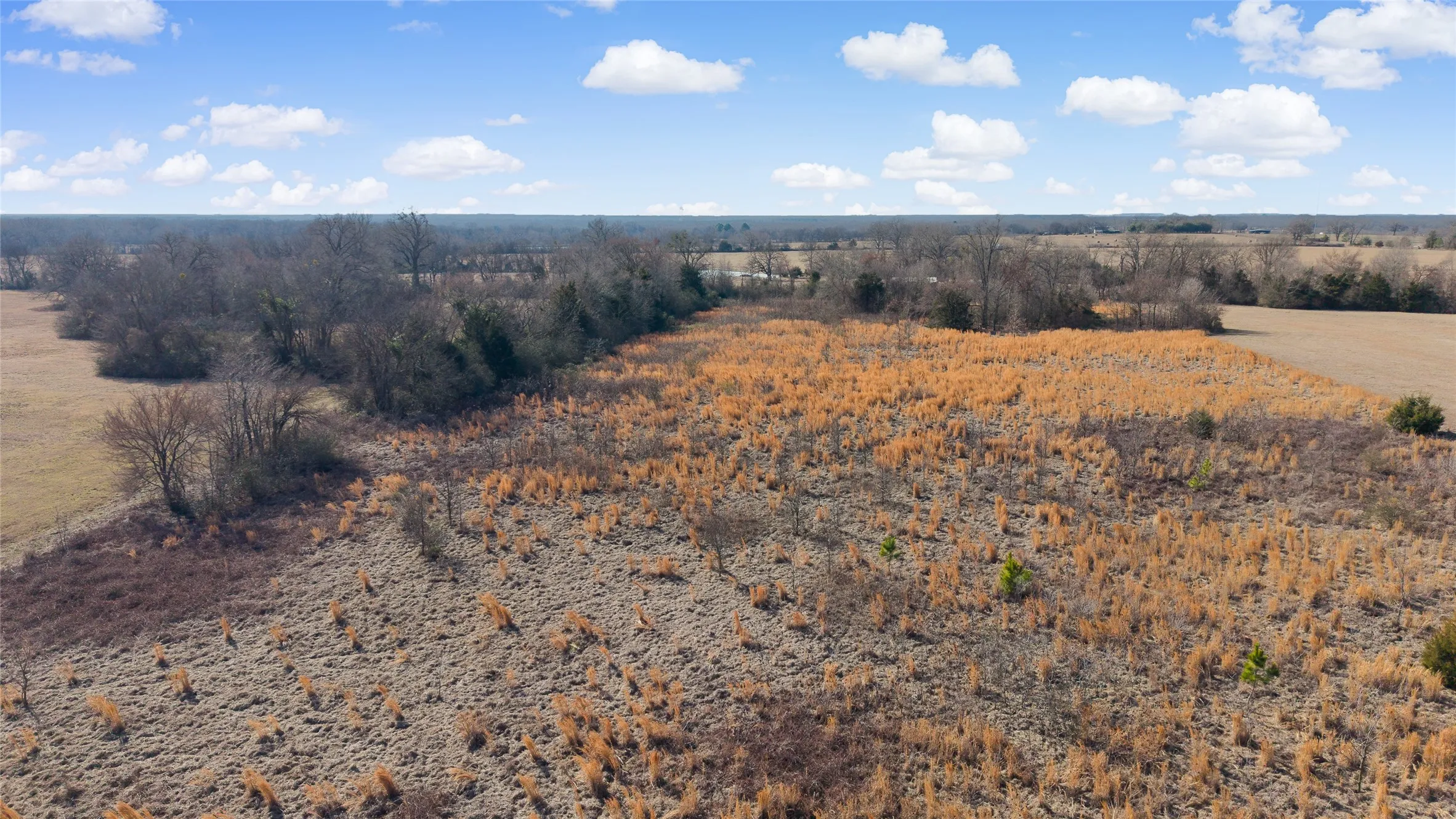 Unimproved Land For Sale in Hopkins County , 7 .95 ac County Road 2426, Como, Texas 75431, 0, 0, Garage spaces, 0 Sqft, built in 0, Price $79,500, mls#21223397, Real Estate Agent in Como, Homes For Sale in Hopkins county, Homes For Sale in Como, Realtor in Como Texas, Real Estate Brokerage Independent Realty Texas, Luminita Cordes Realtor
